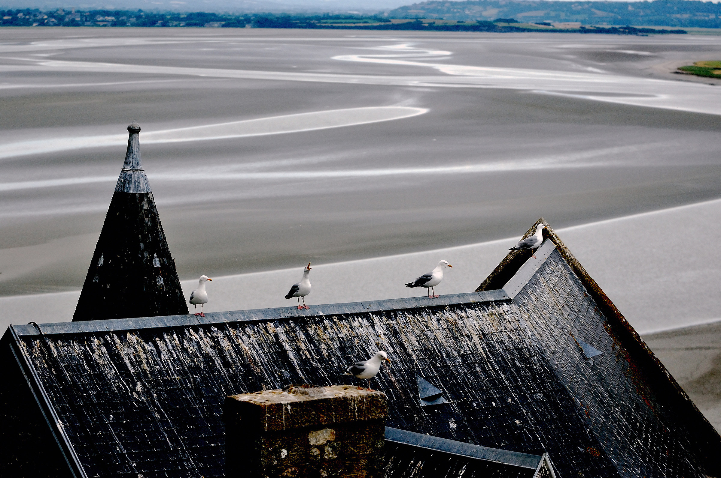 The Bay of Mont S Michel