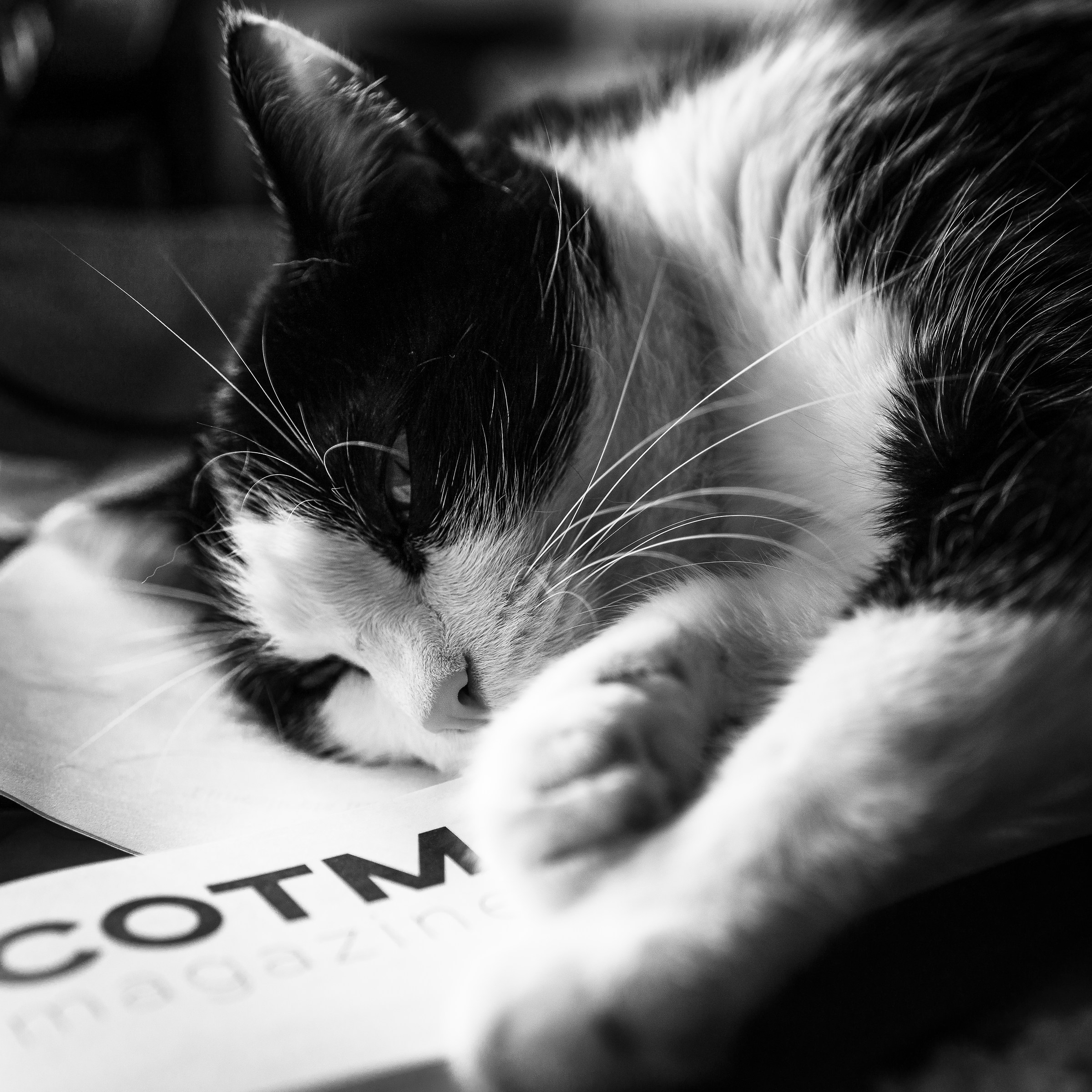 Un pigro assistente...