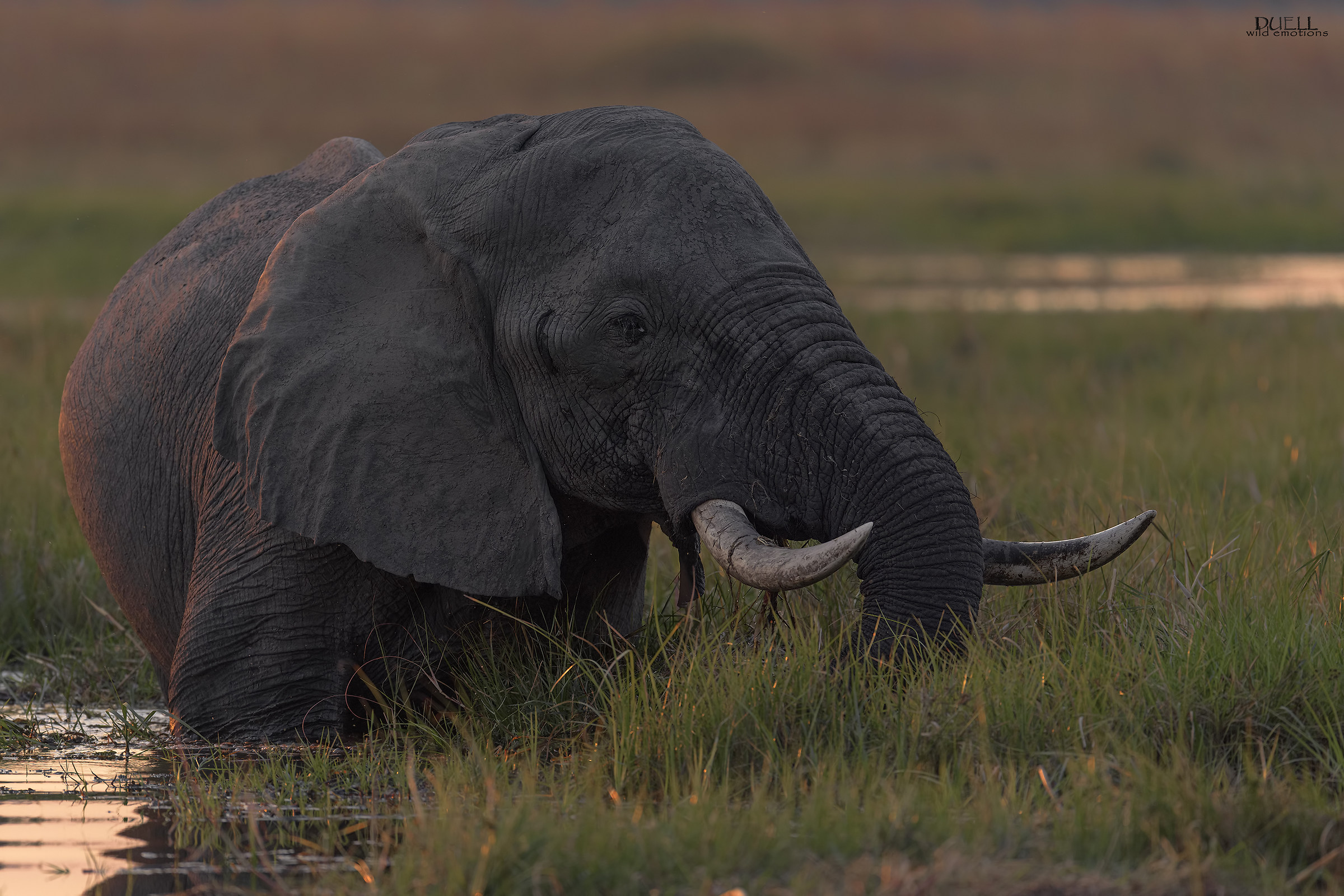 Unforgettable sunset