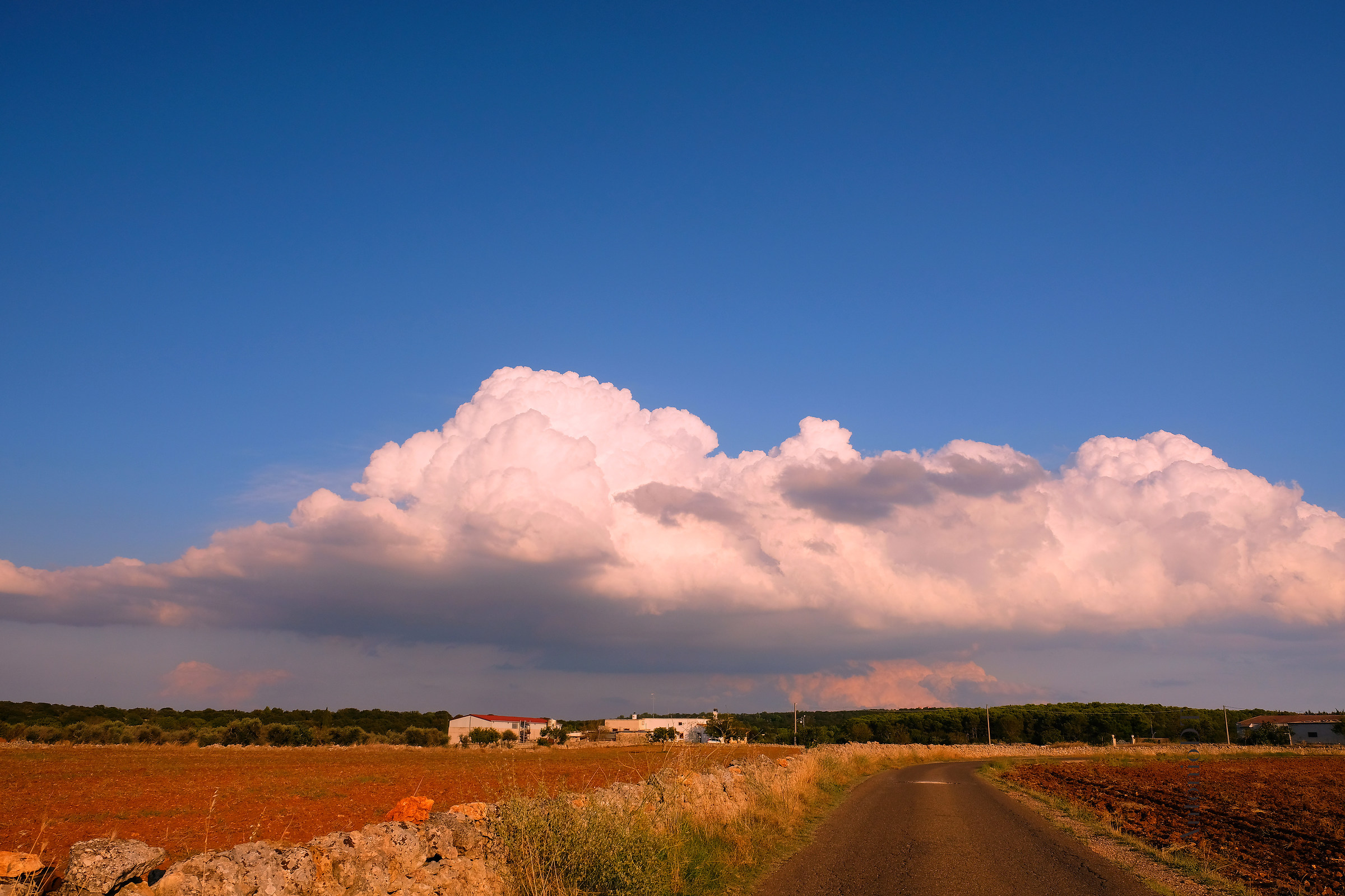 The colors of my land