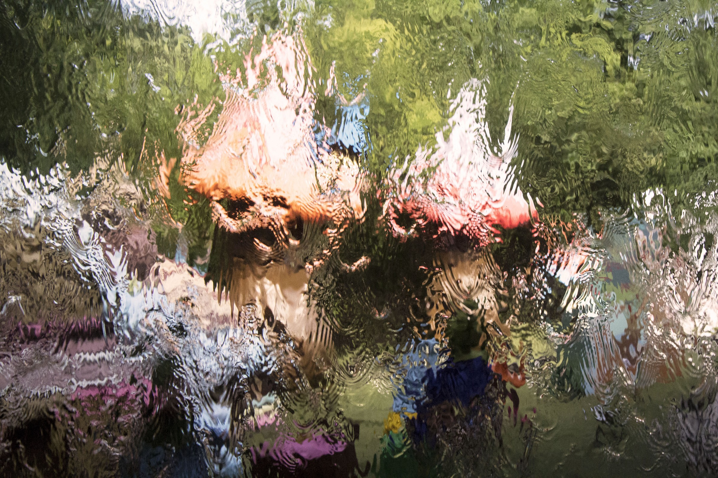 the home of the gnomes