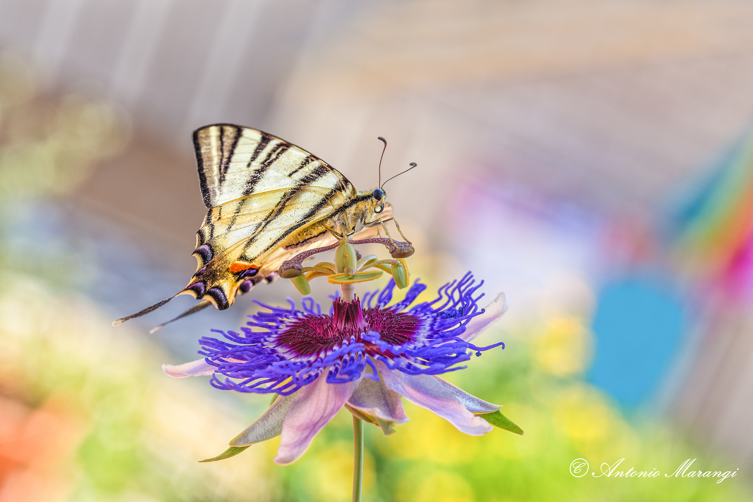 When the background makes a difference