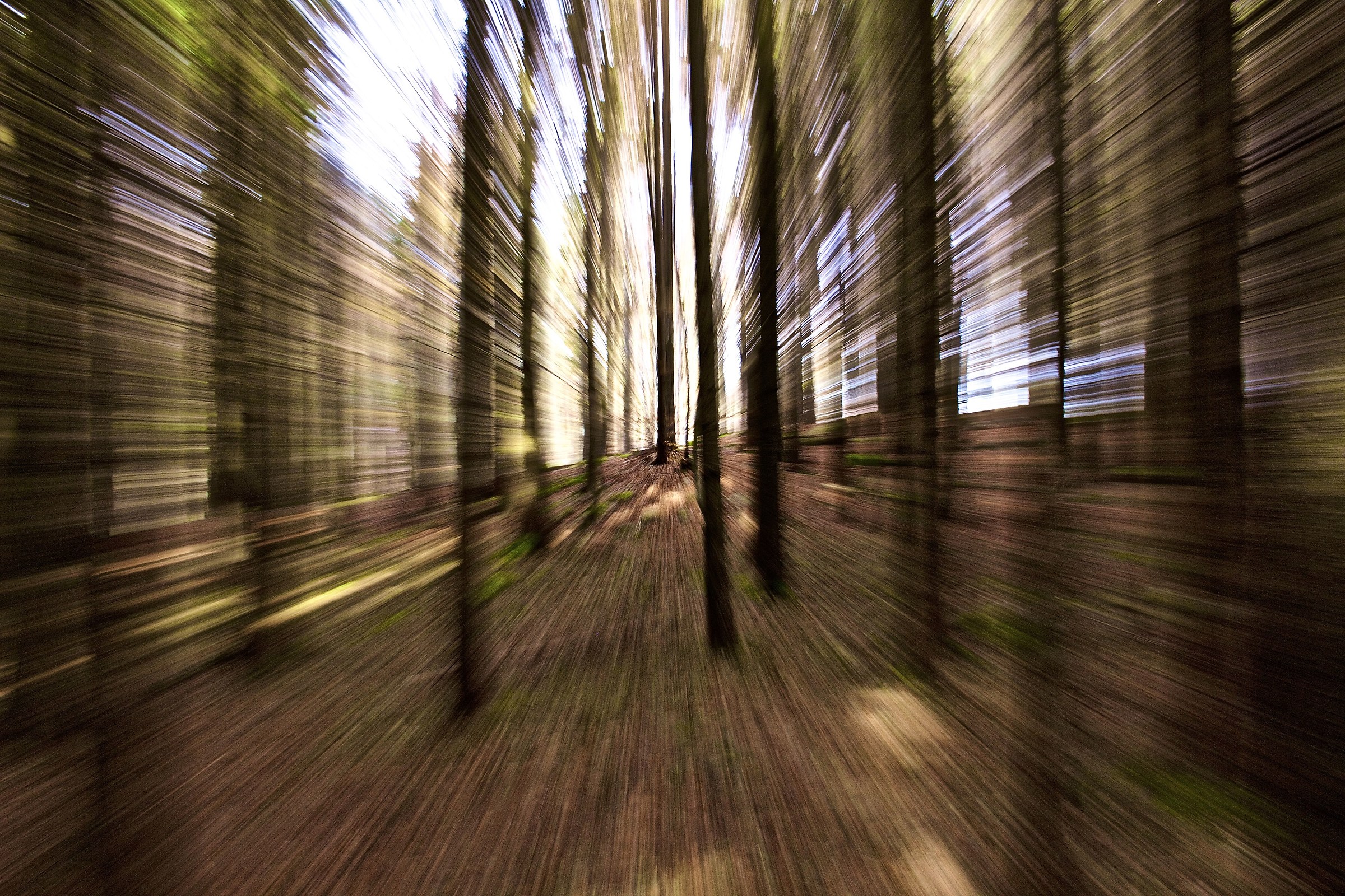 Zooming in Val D'aveto