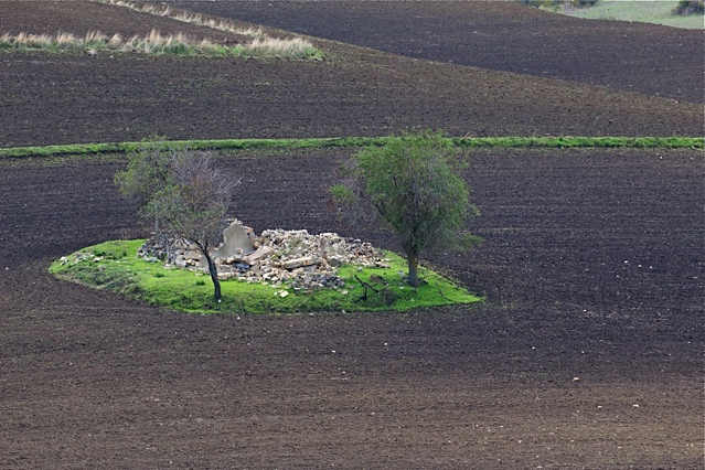 anno dopo anno quella casa è caduta