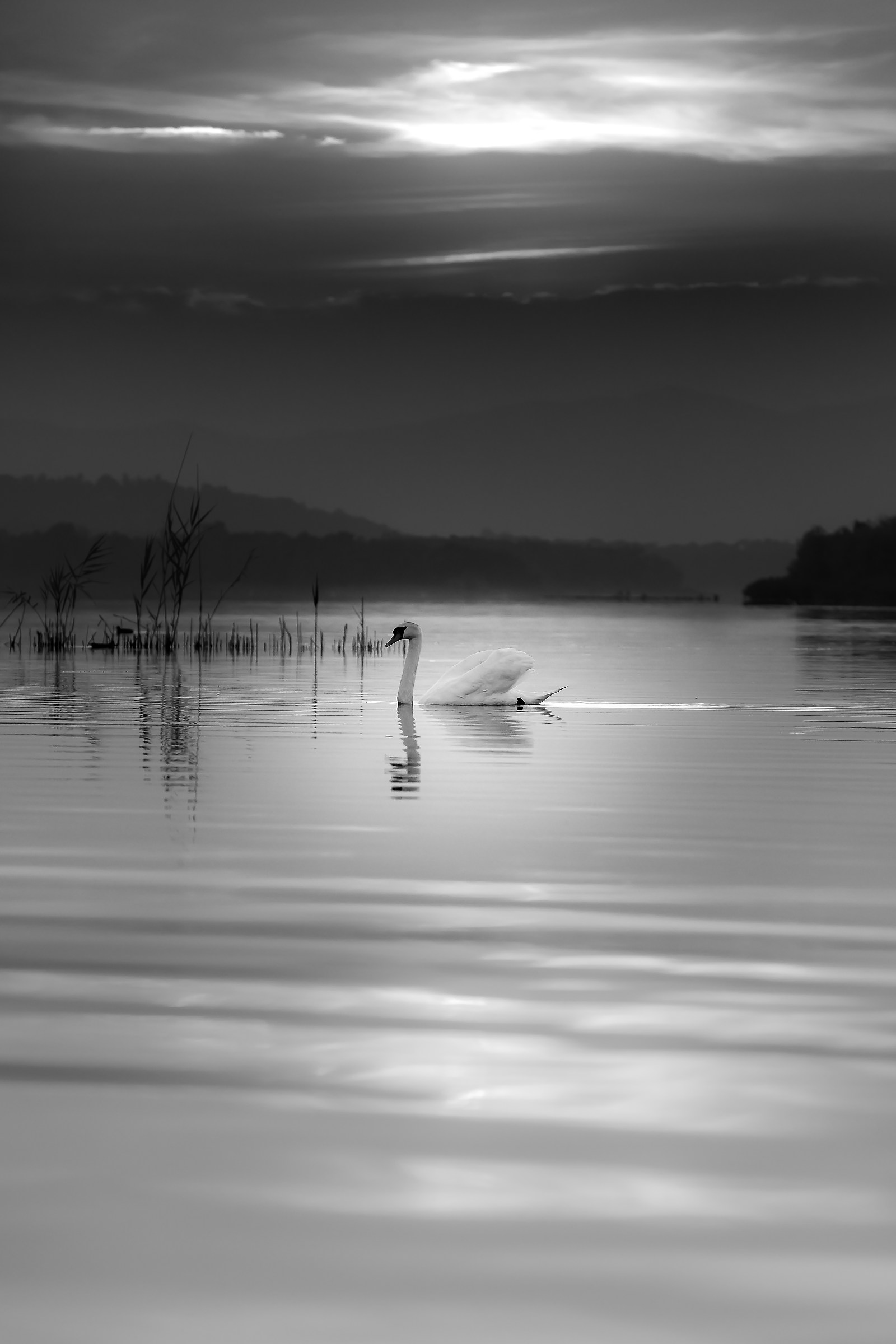 Lake of Varese, soft to the Tramopnto