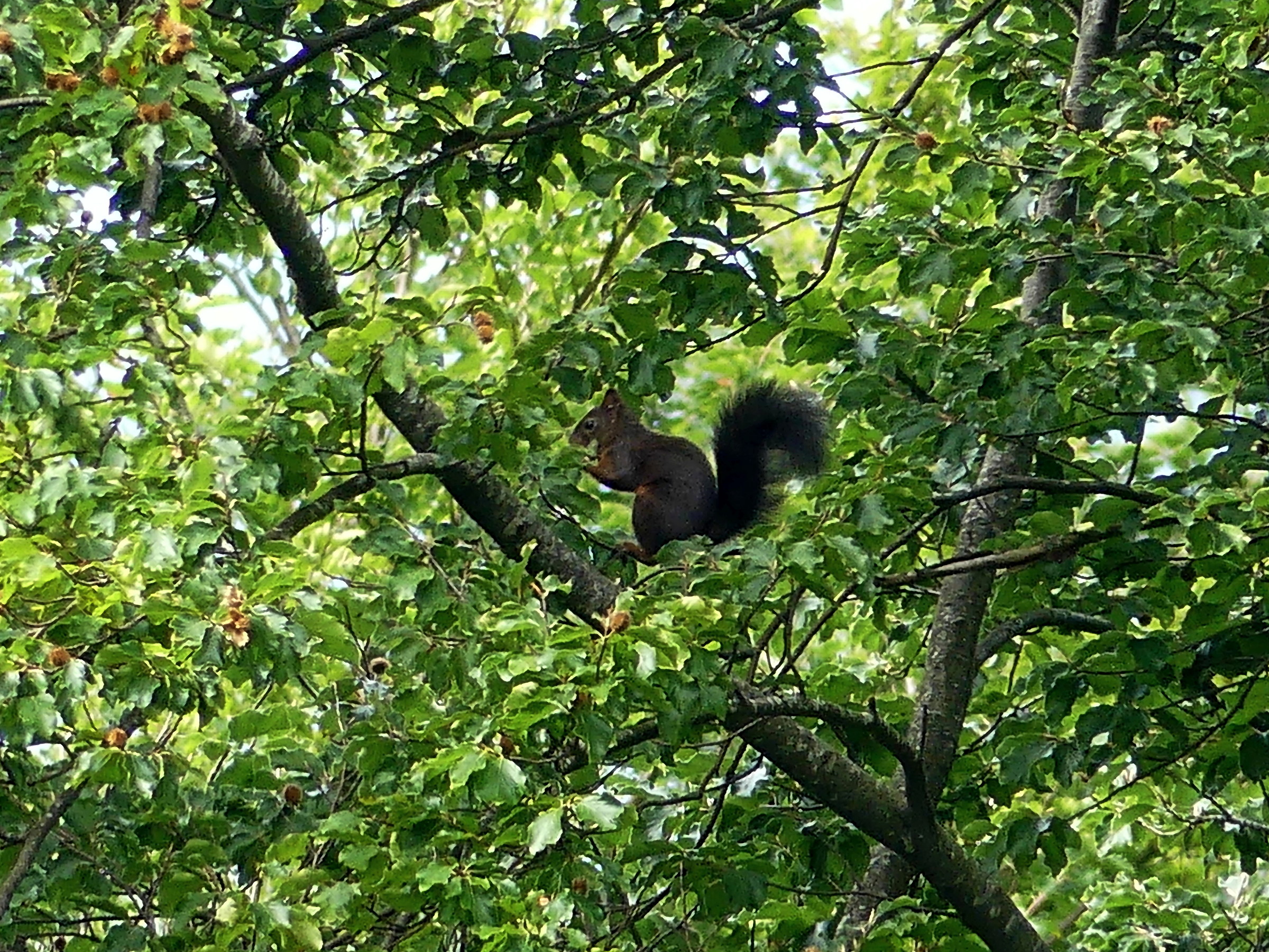 I can't eat in peace