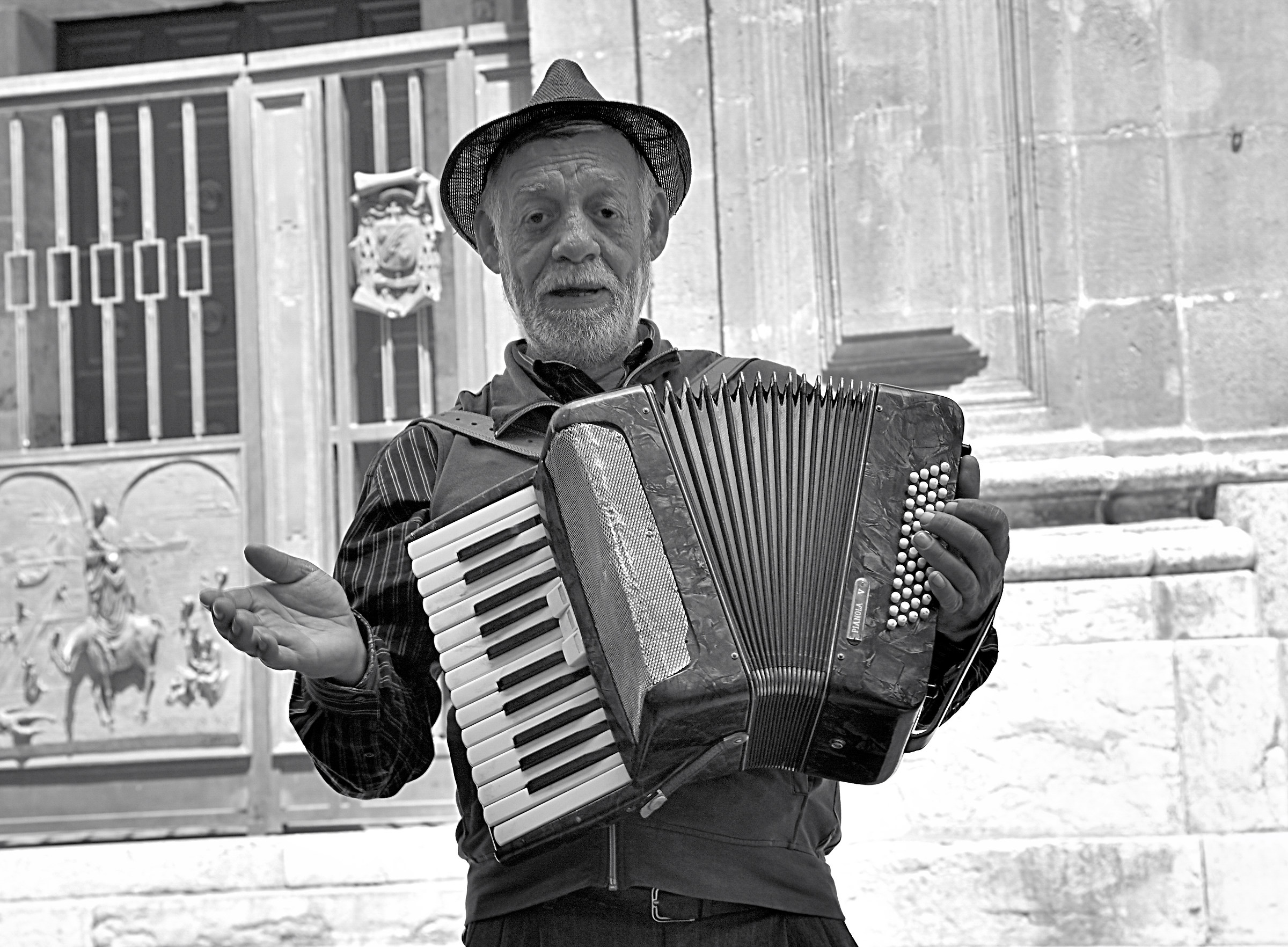 Accordion player