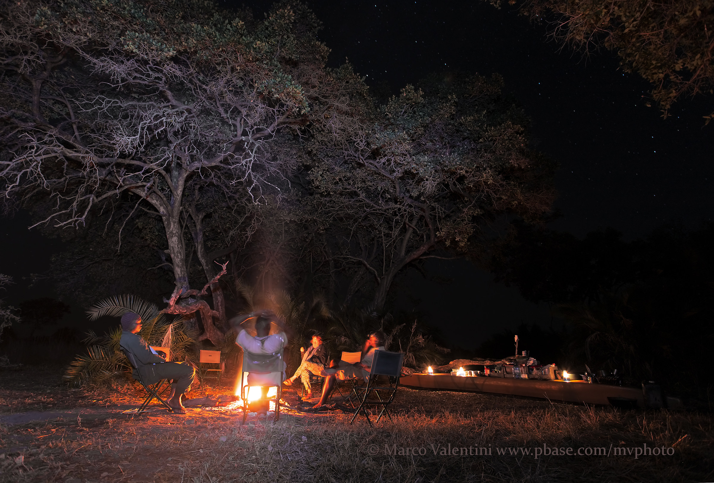 The field on the islands of the Delta