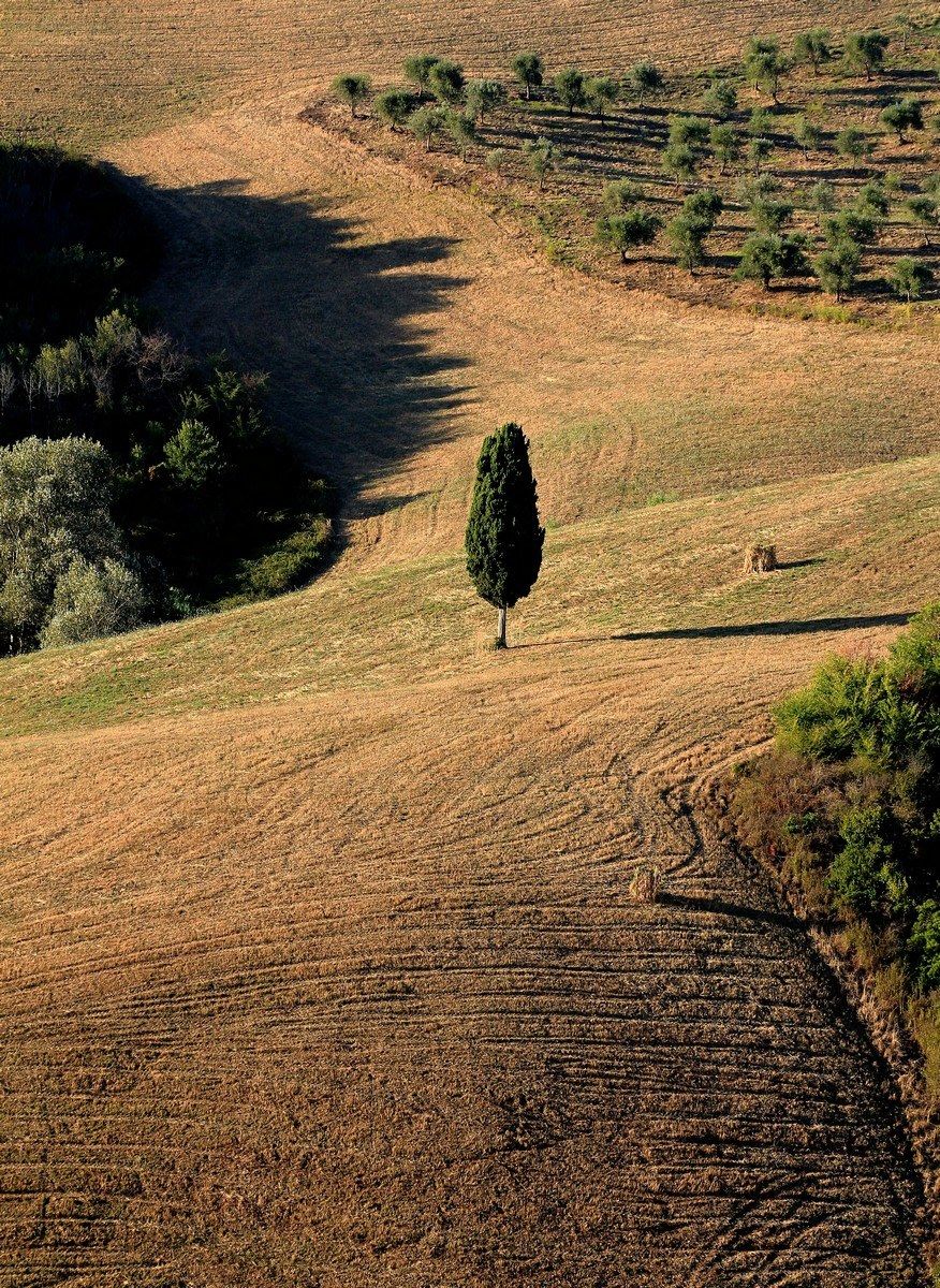 Tuscan countryside