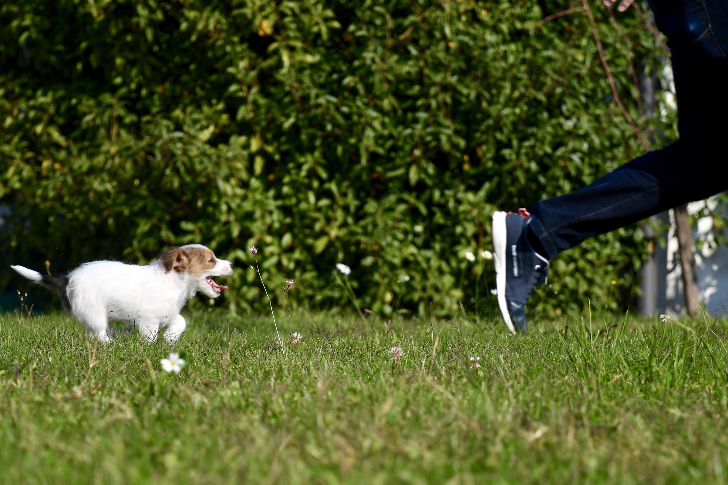 Catch me in You can!