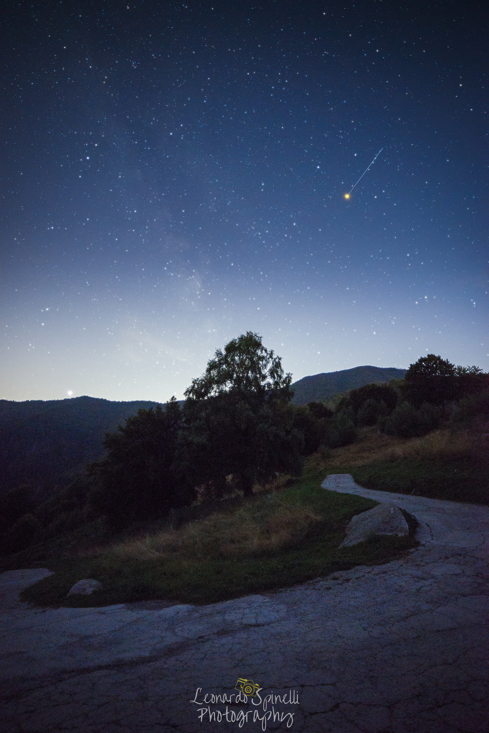 Serata con stella cadente