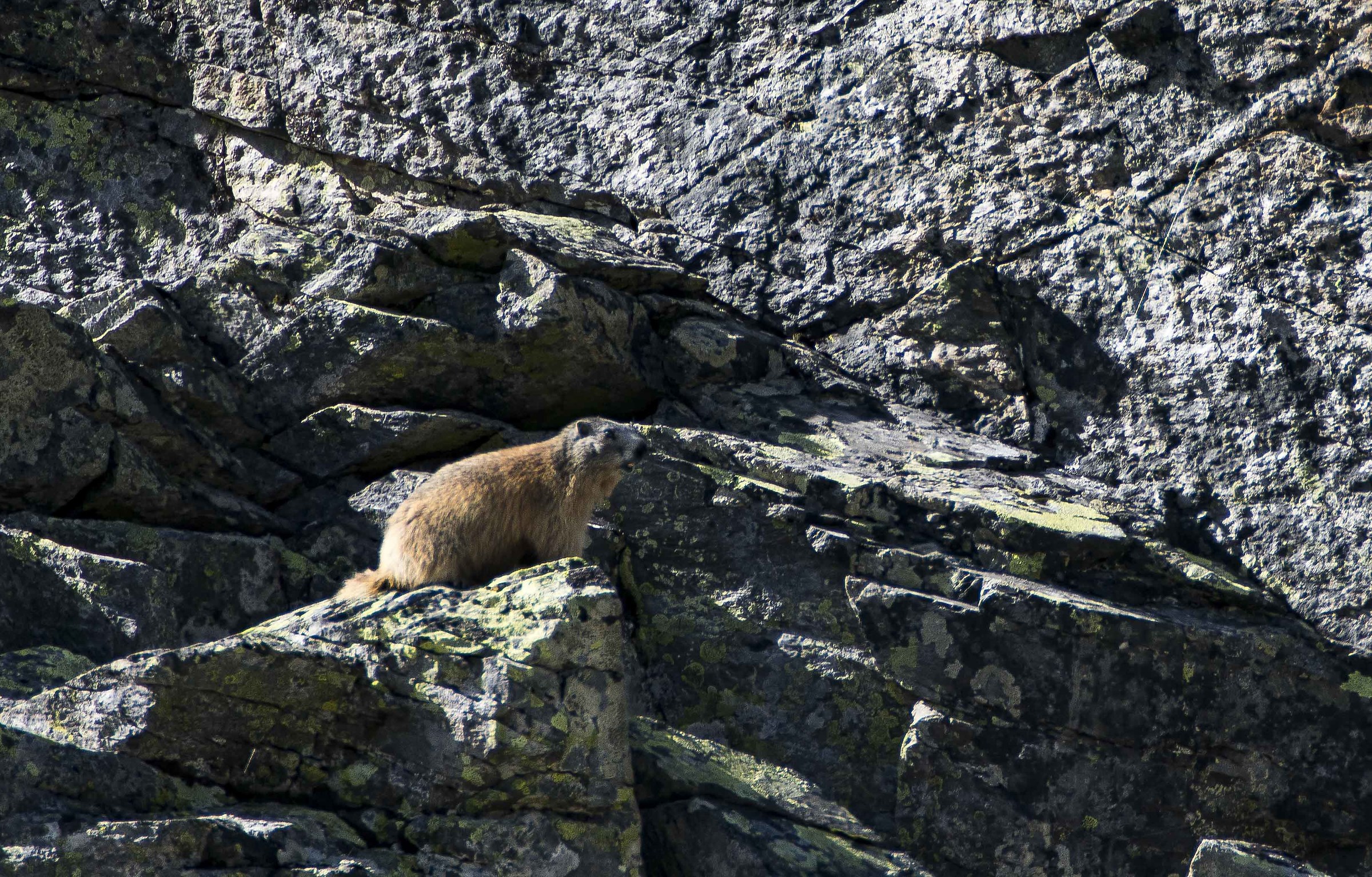 That good morning so pleasant