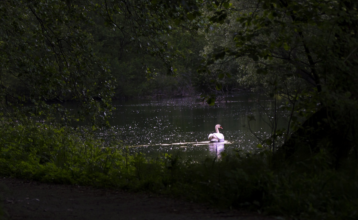 una finestra sull'Adda