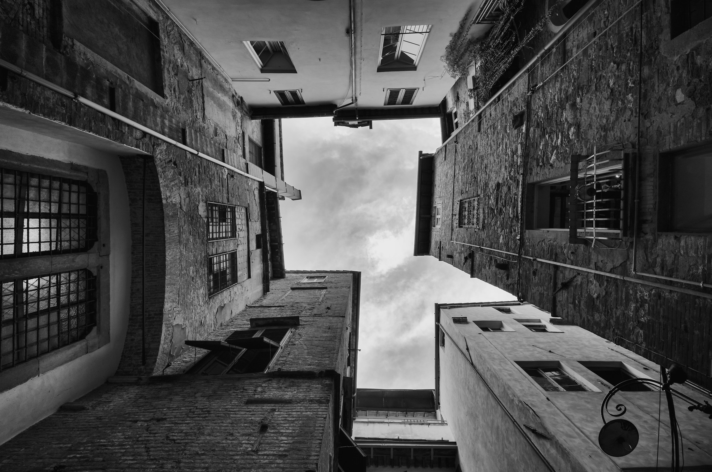 Lucca col nasu all'insù