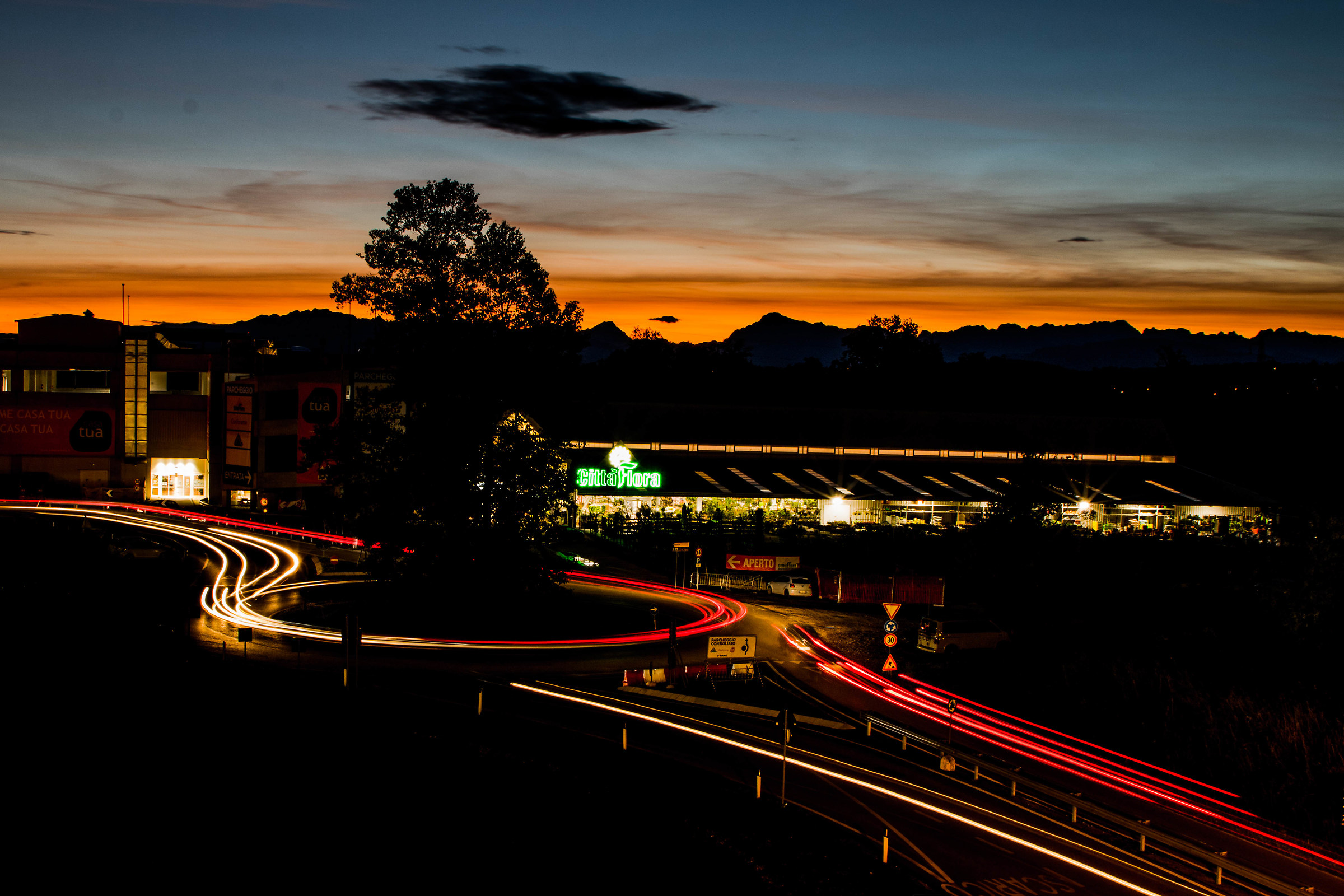 Brushstrokes of lights and colors