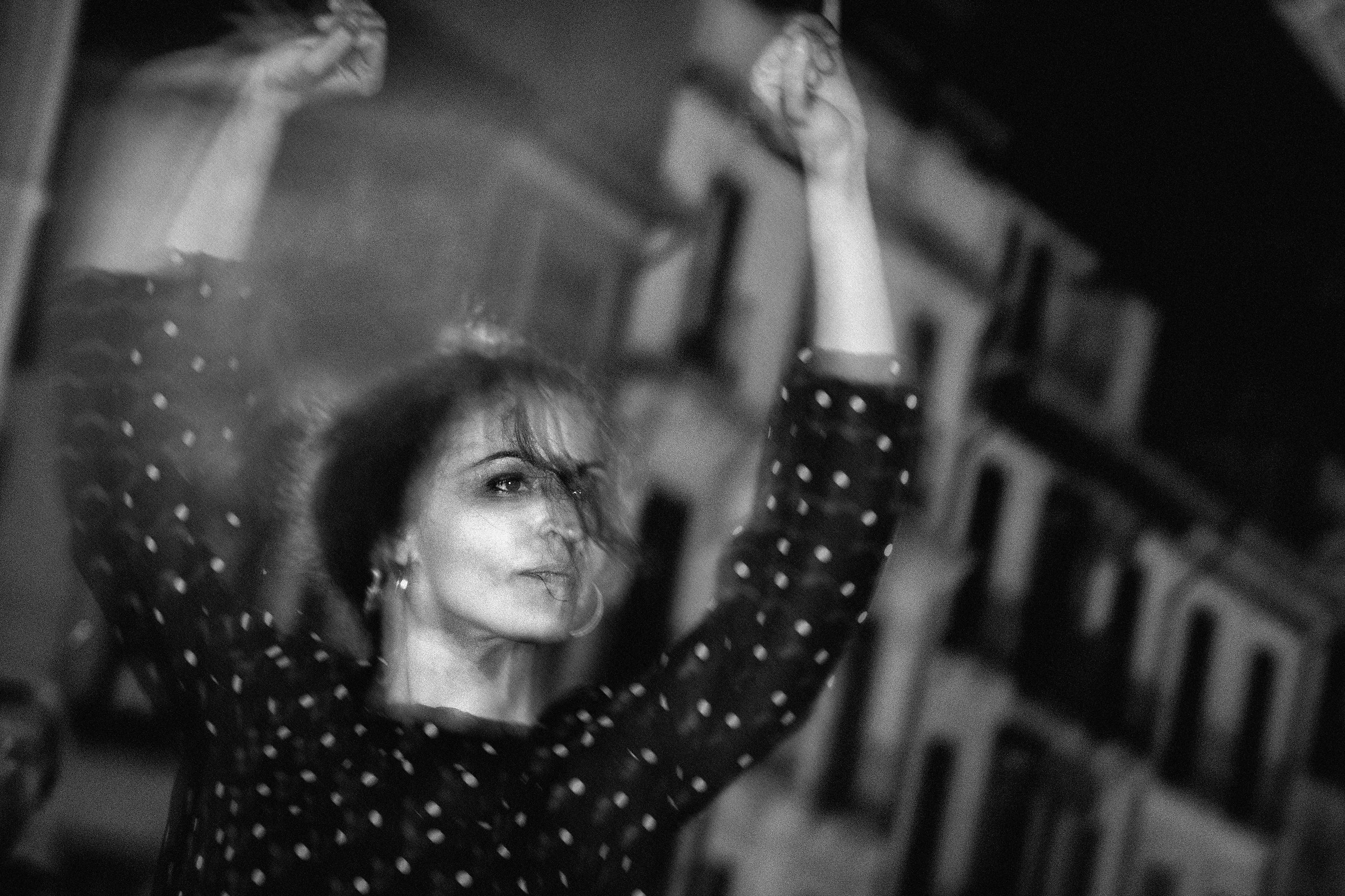 La ballerina di flamenco