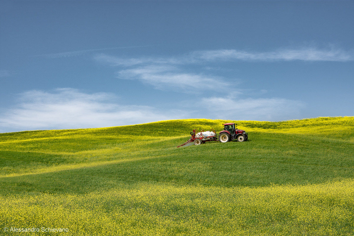 Posing for Microsoft:-)