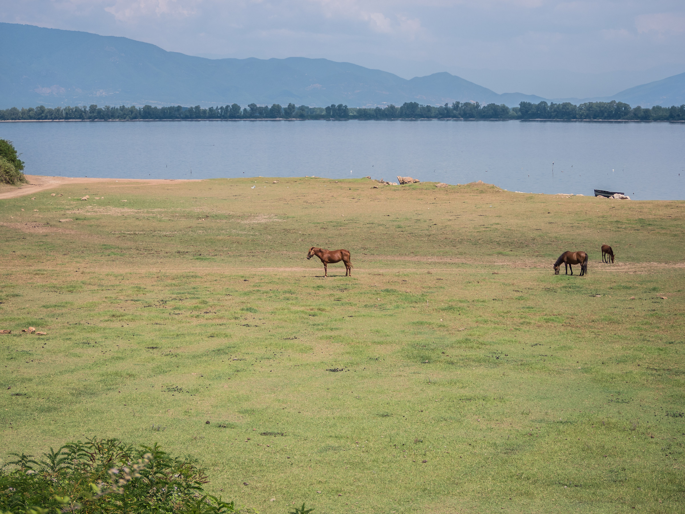 Lake Kerkini-Greece
