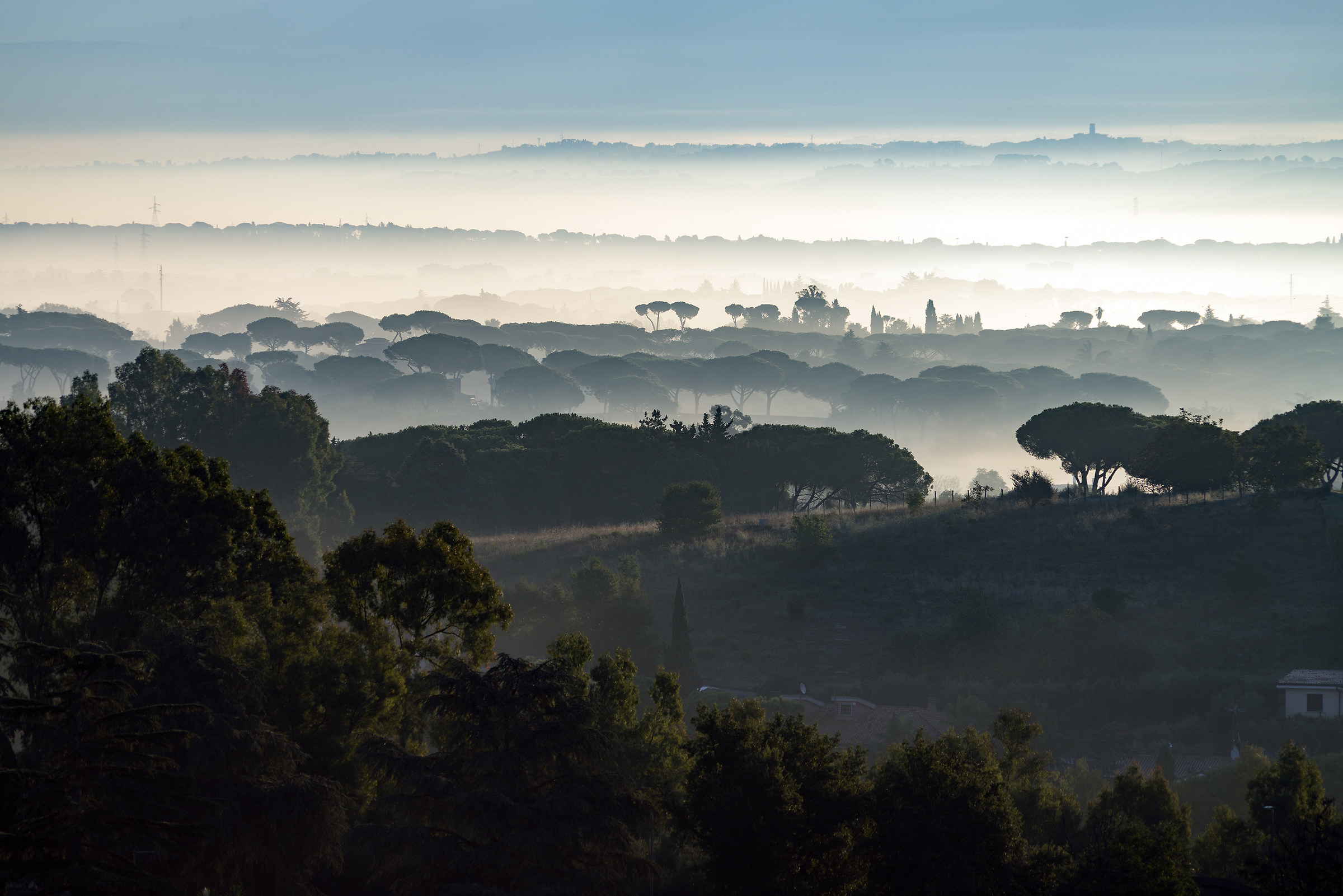 Misty Morning