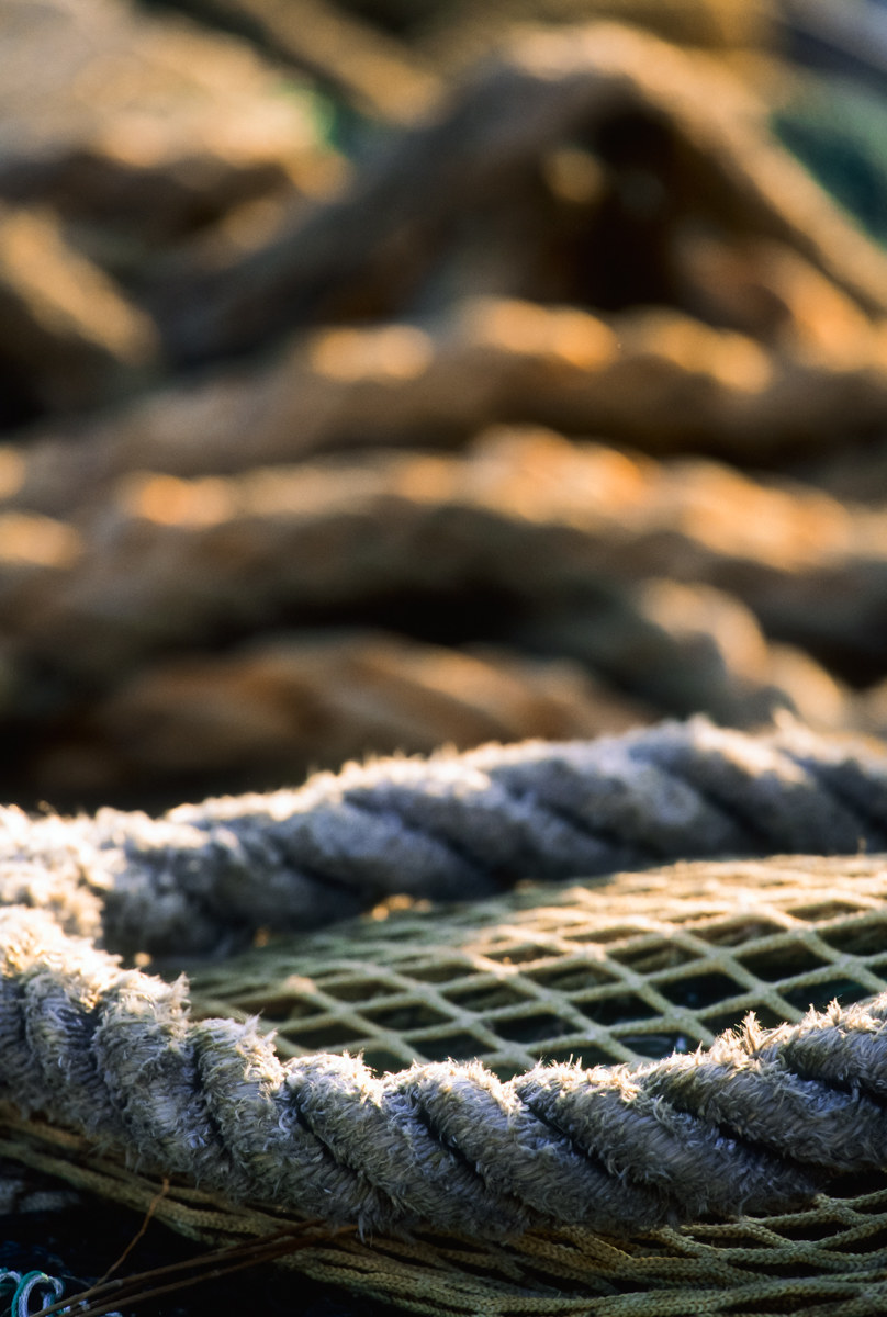 Progression of Peaks