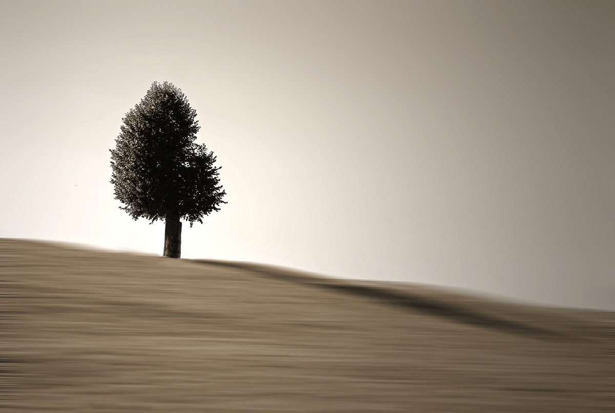 Il ruscello del tempo