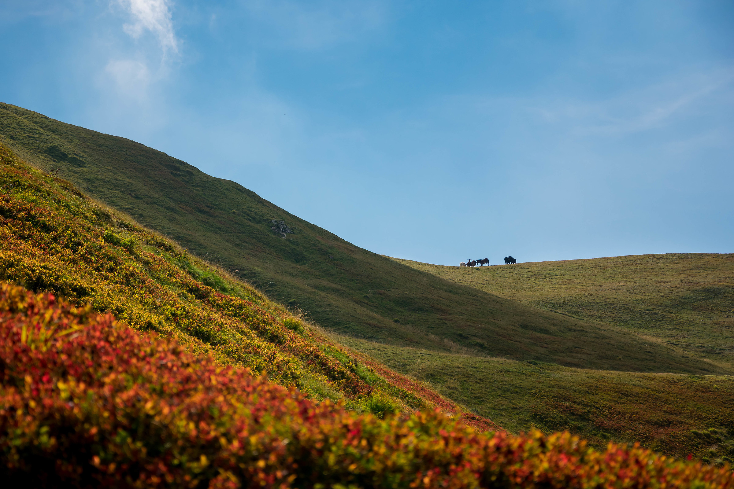 Corno alle Scale in rosso