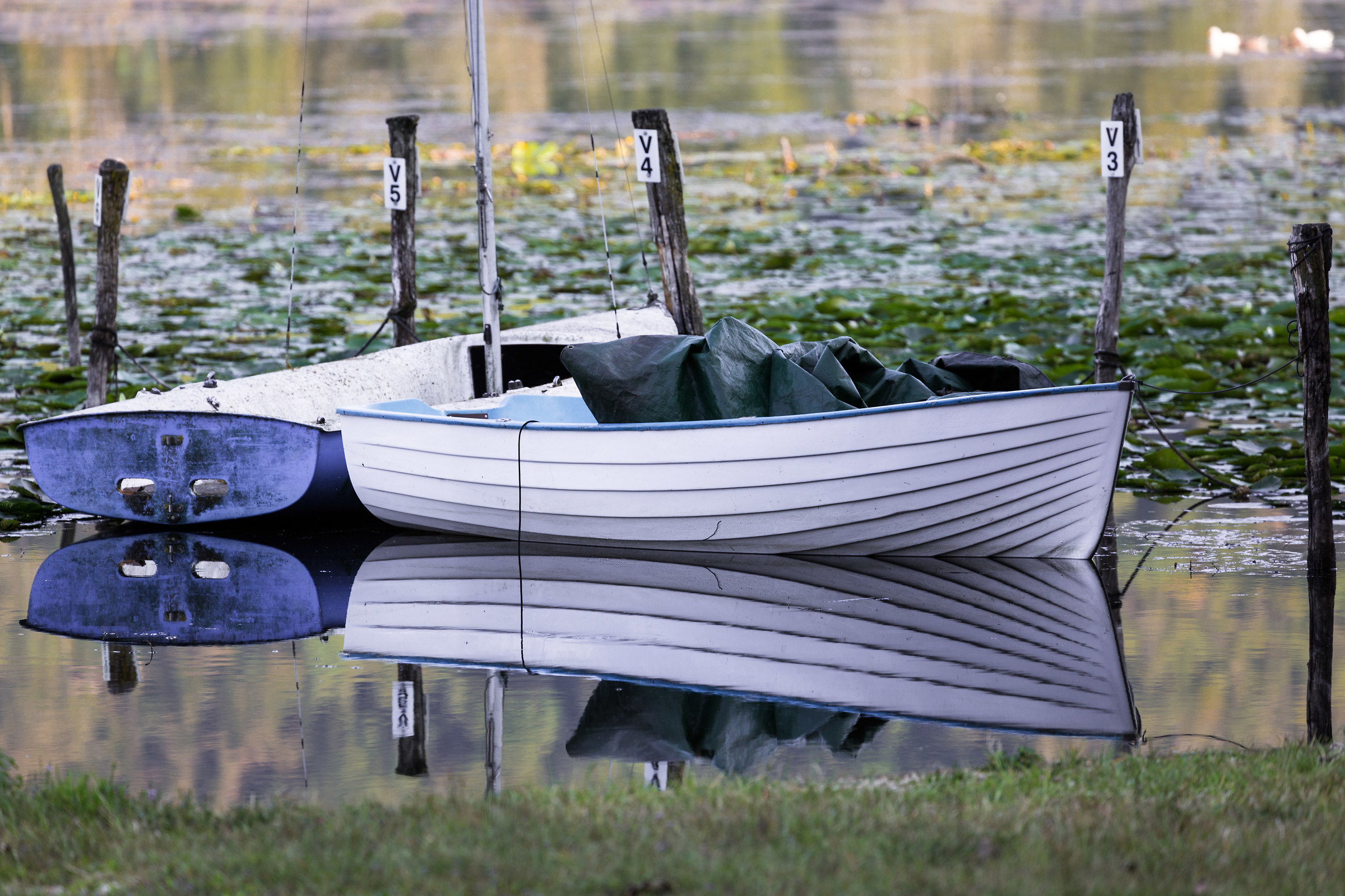 Un specchio gradevole