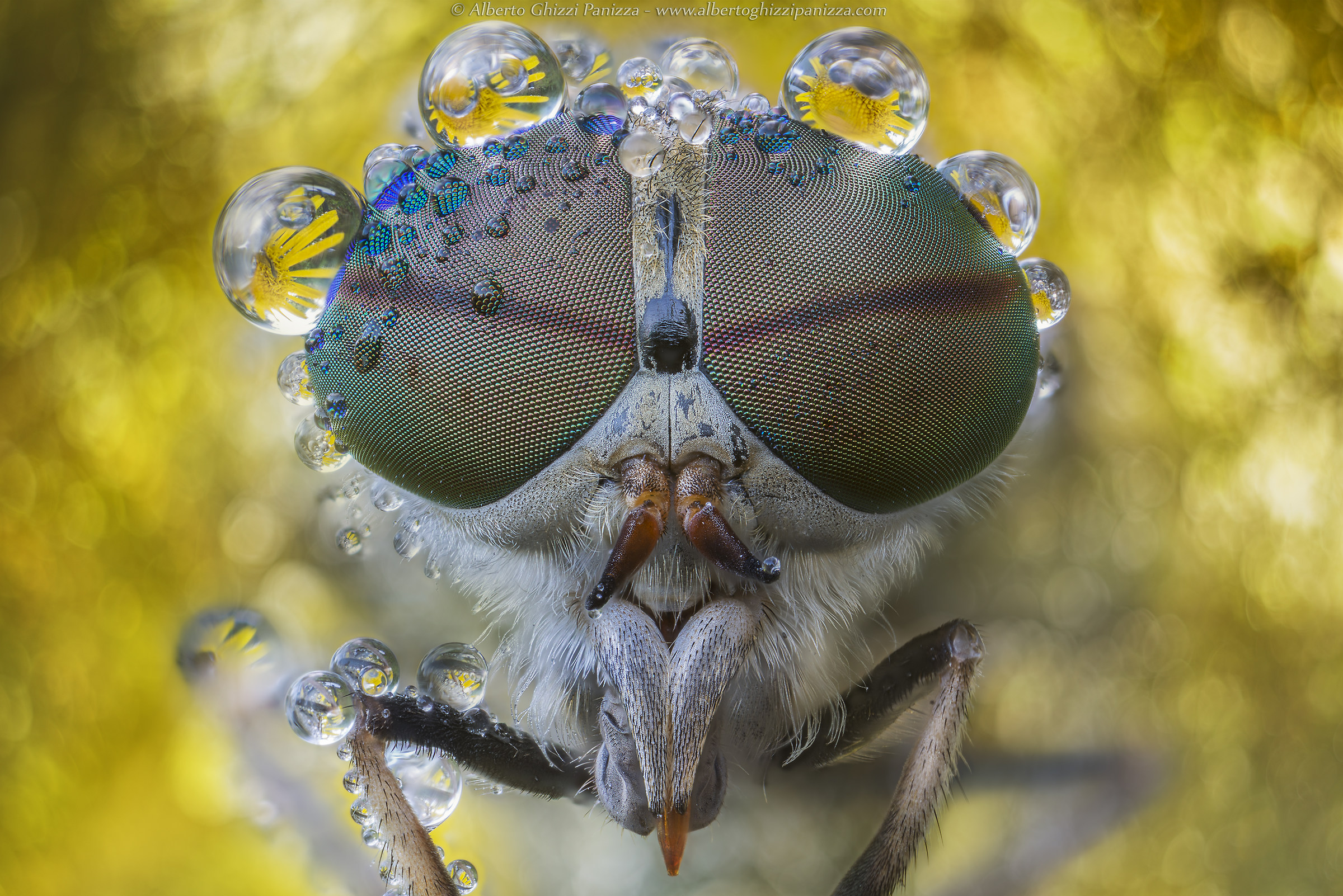 I wet my glasses again