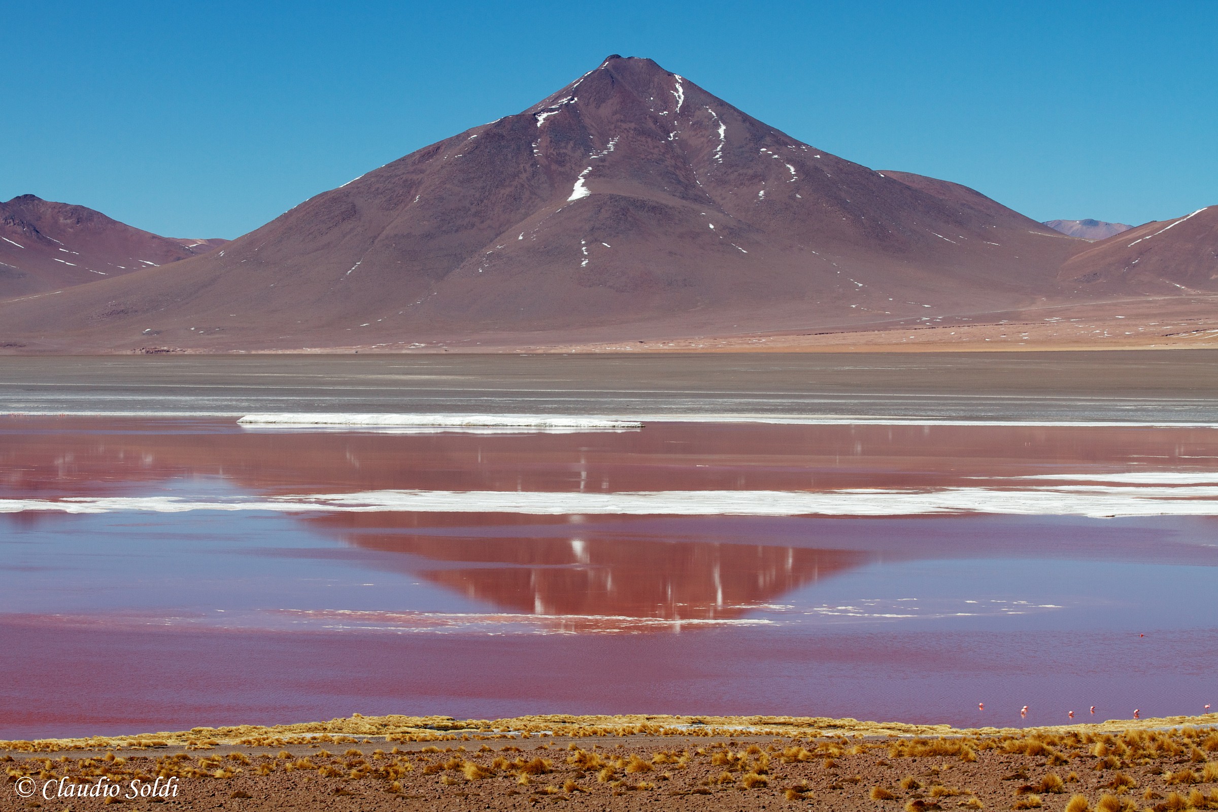 Laguna Colorada - Reflections