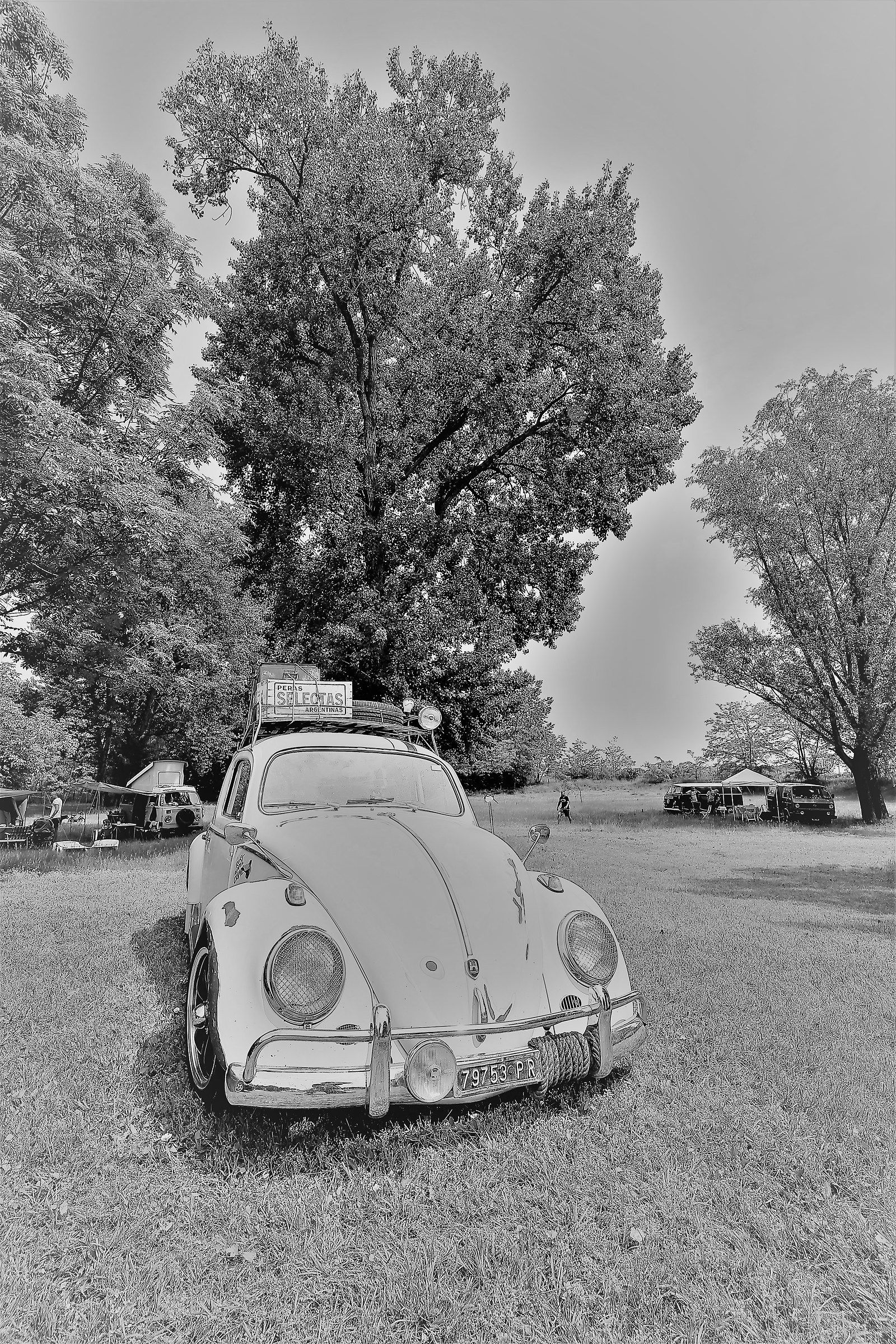 Picnic in the fresh air
