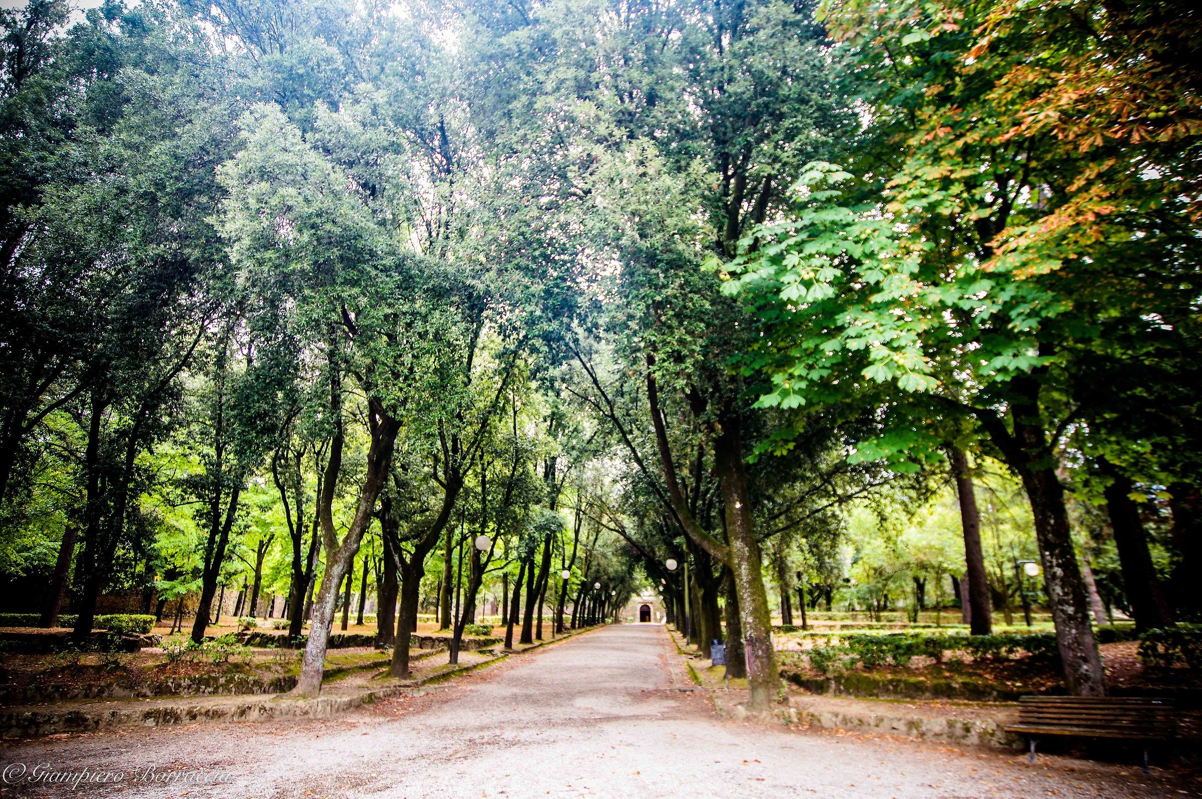 Towards the fortress