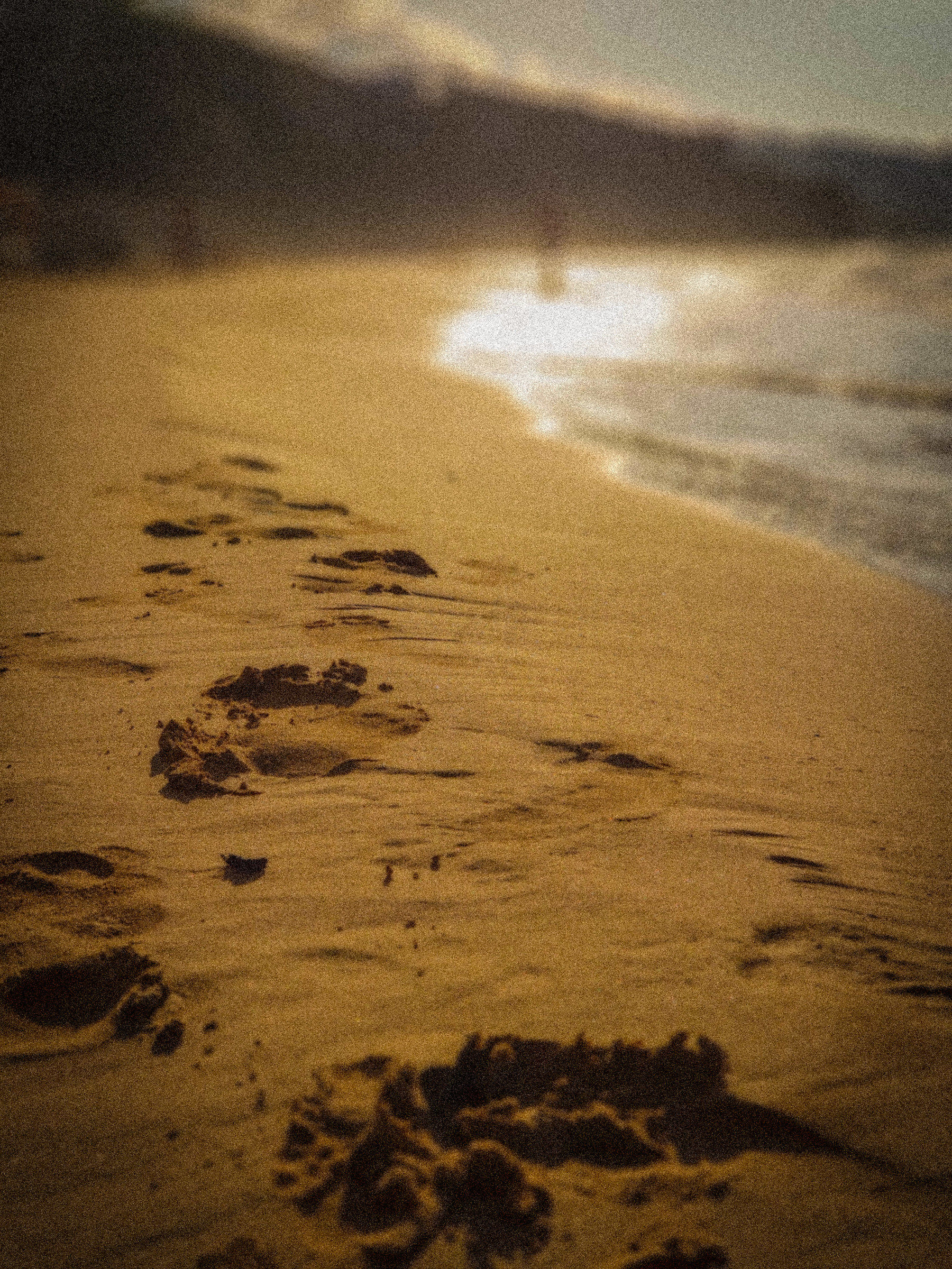 Summer is ending......