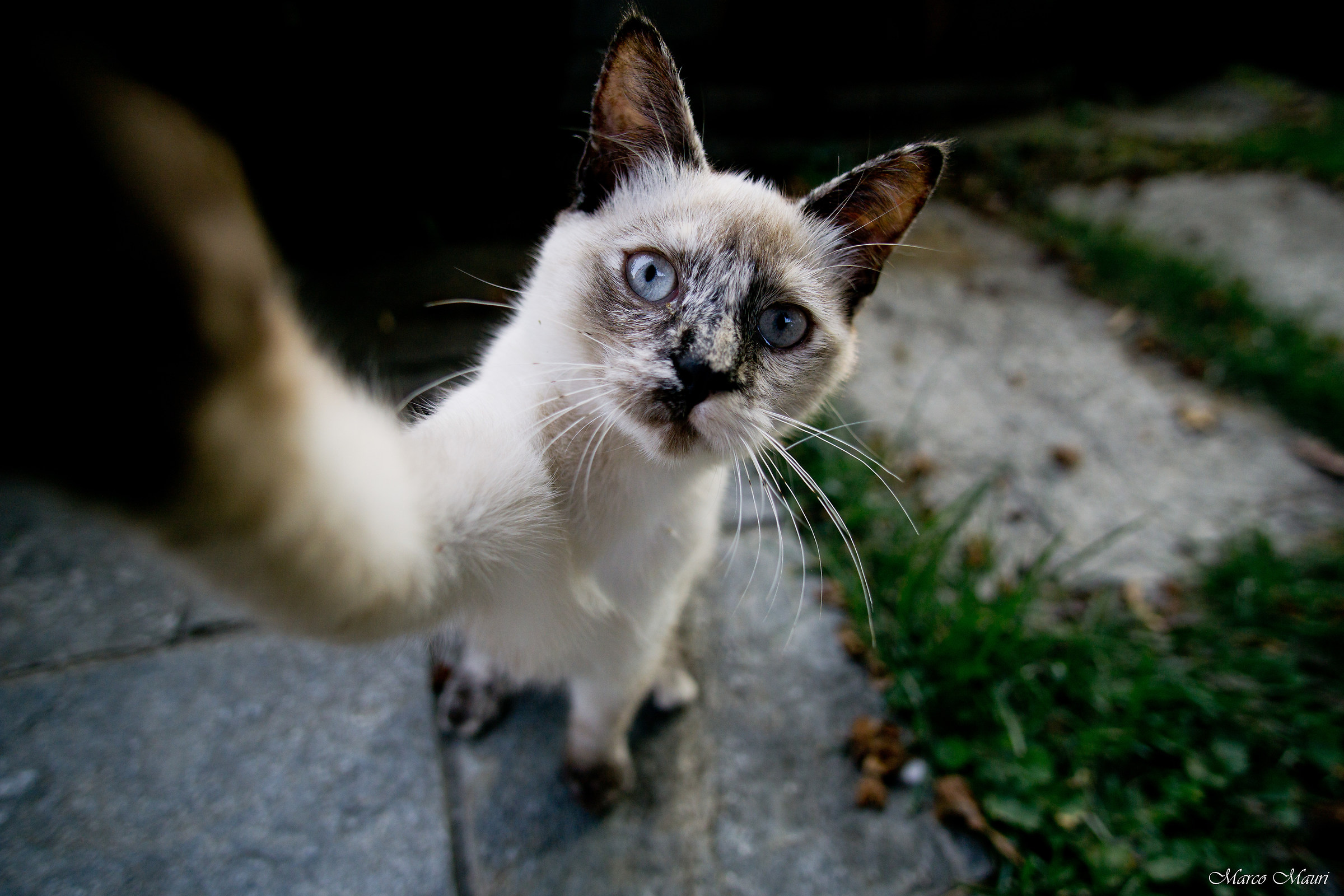 Facciamoci un selfie