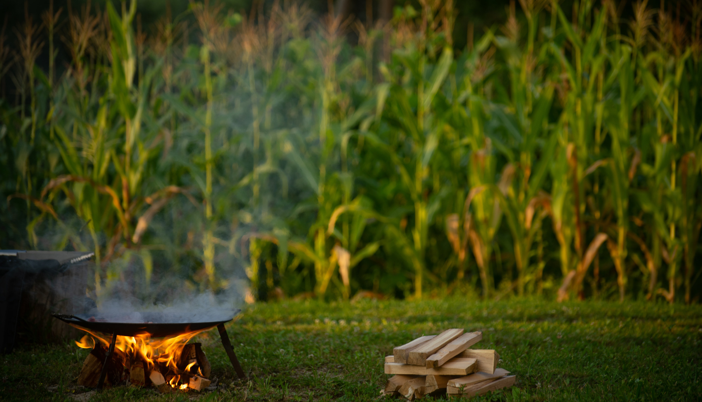 Grigliata improvvisata