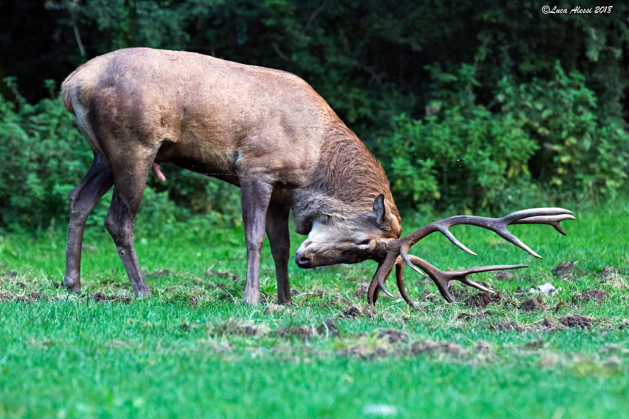Questo è il mio territorio!!