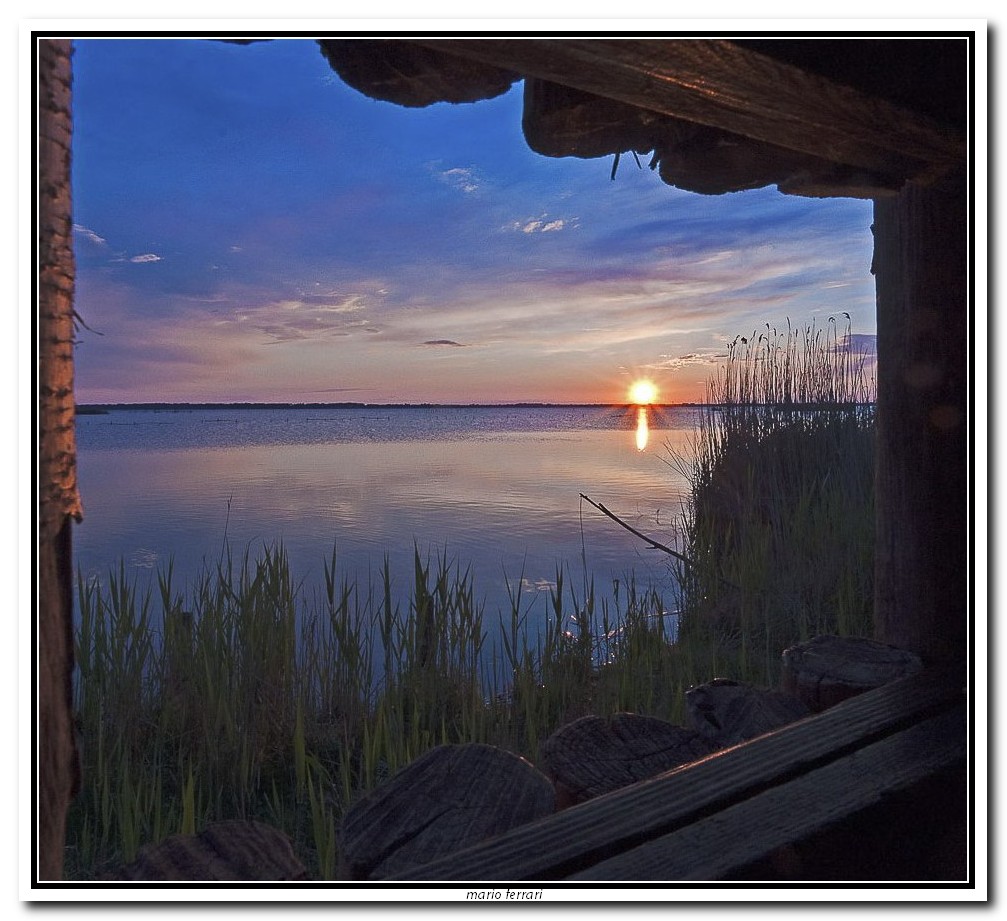 h.19 lago di Massaciuccoli