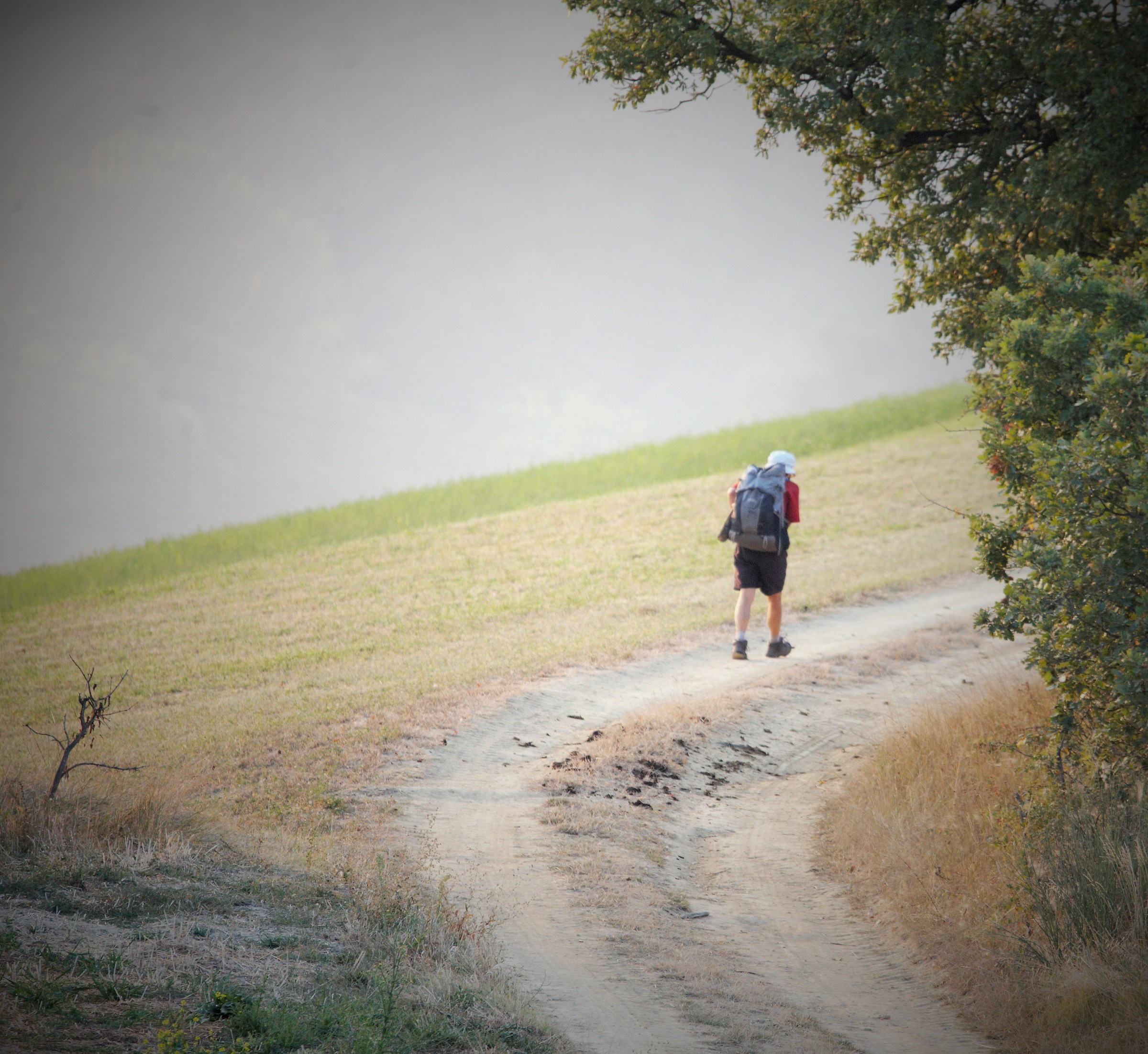 The Via Francigena of Parma