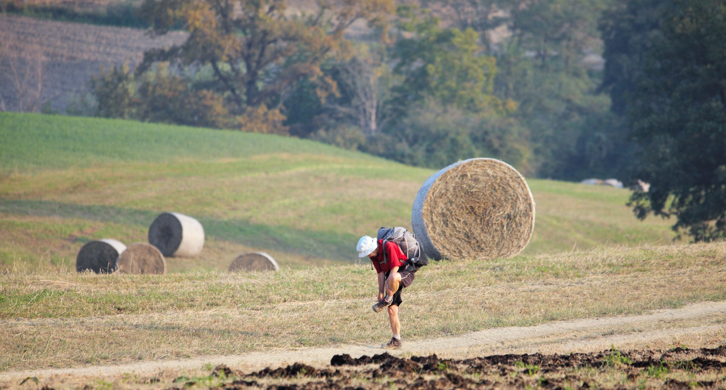 The Via Francigena of Parma