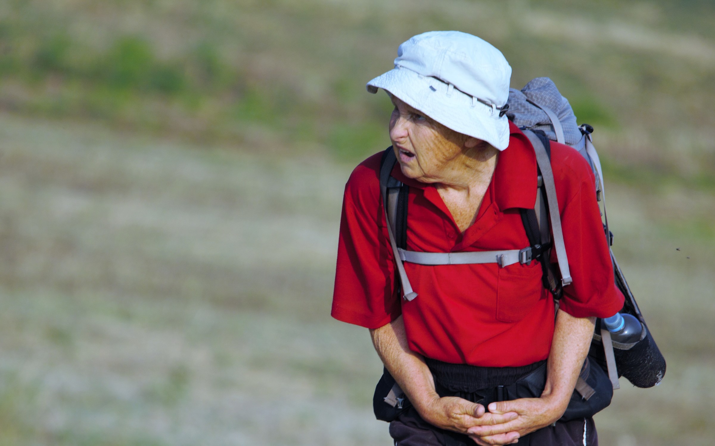 The Via Francigena of Parma