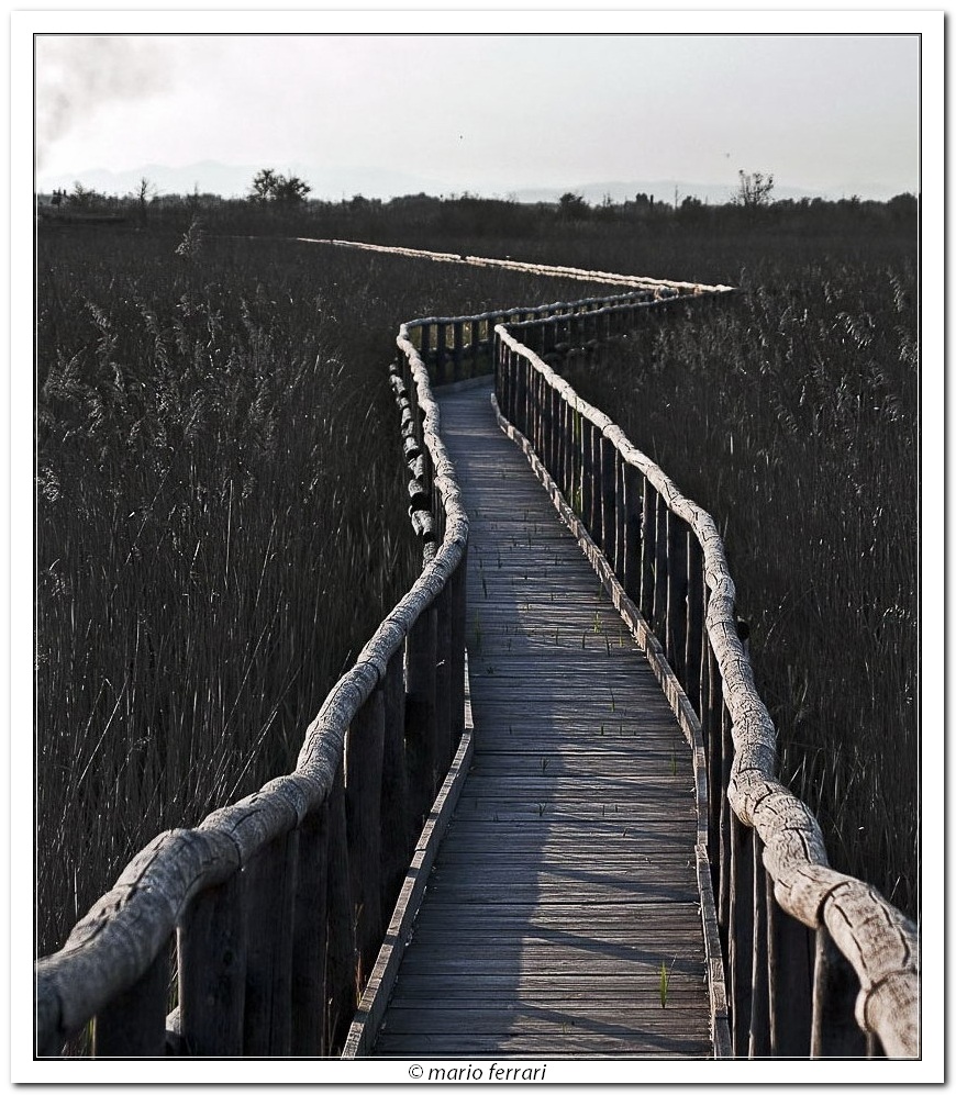 Passerella per Birdwaching