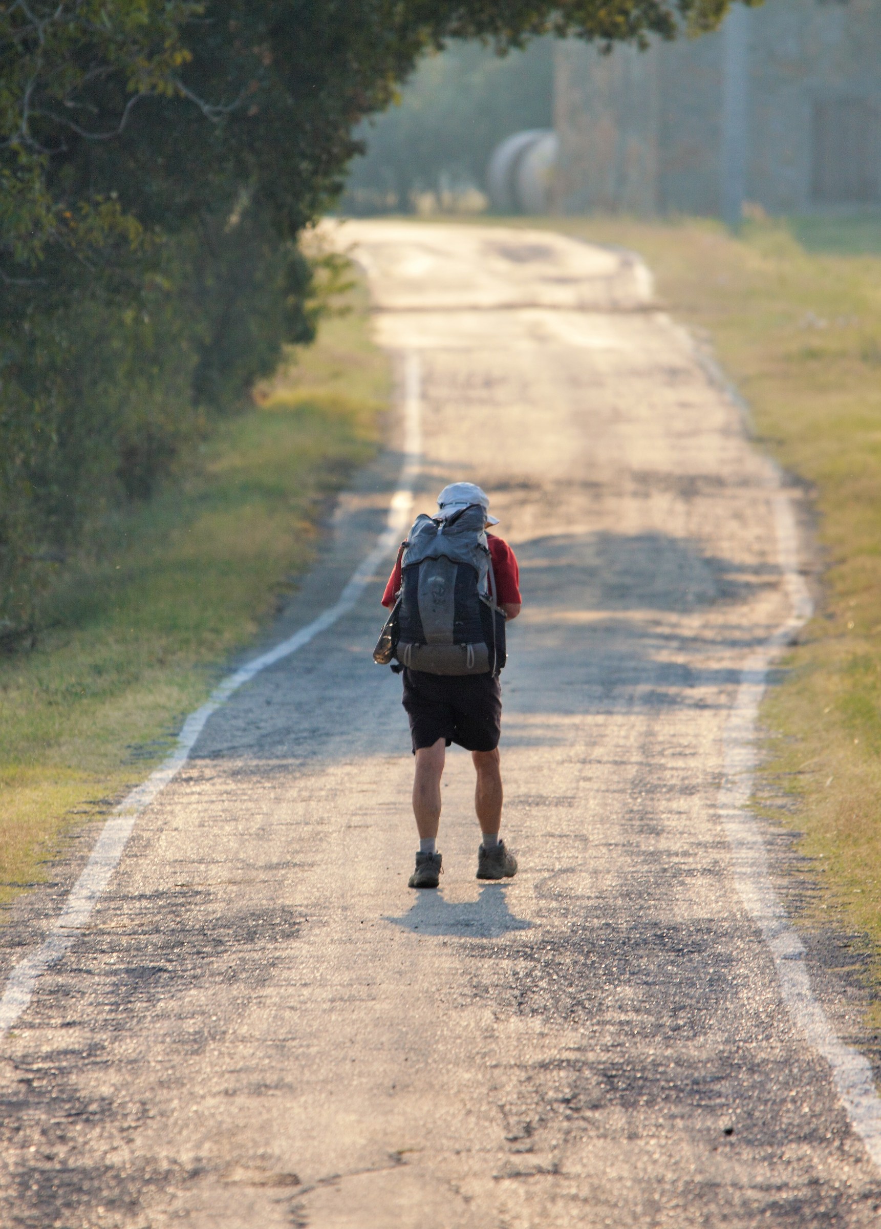 The Via Francigena of Parma