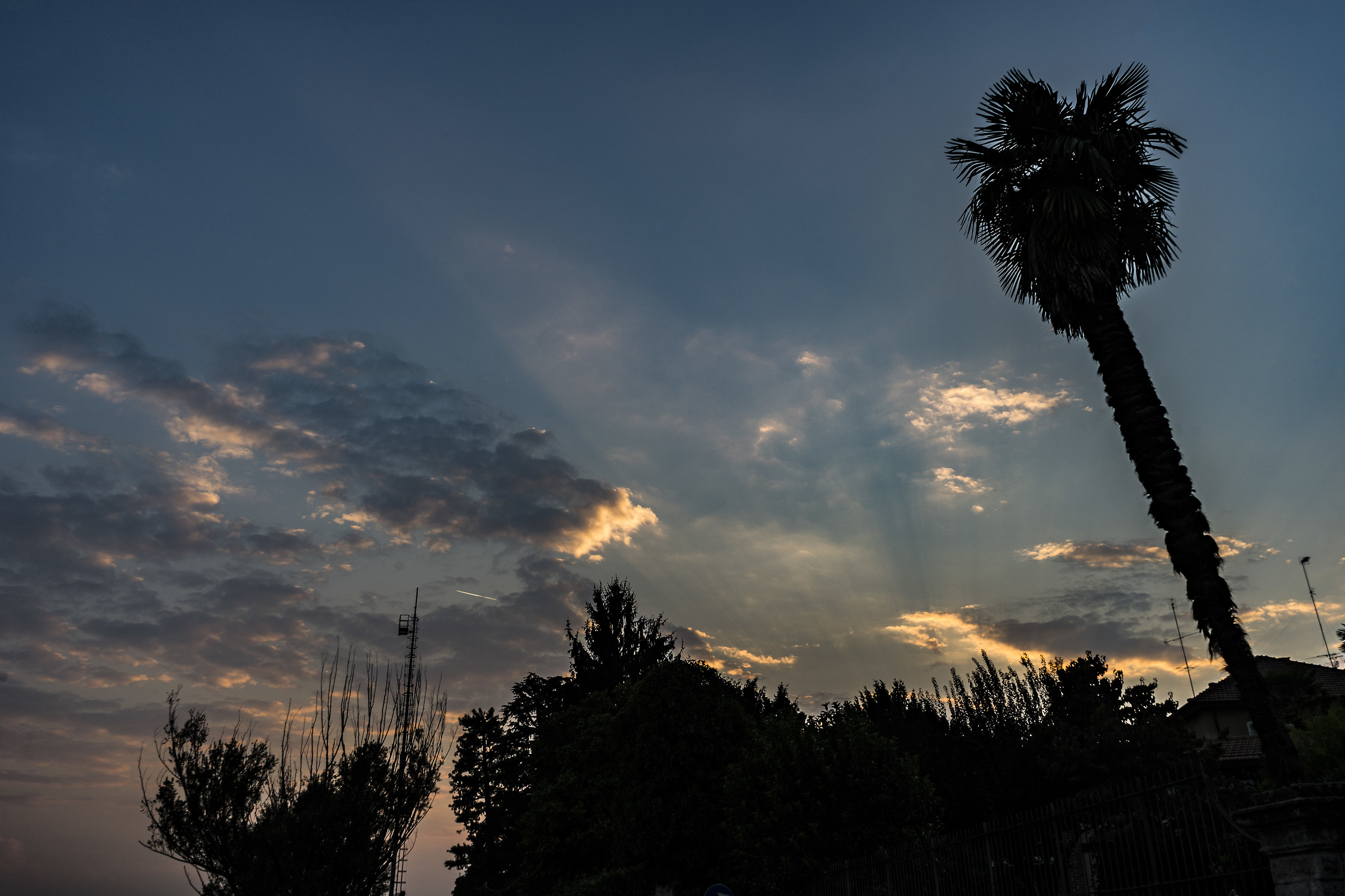 Sabato 15 settembre 2018, 19:22