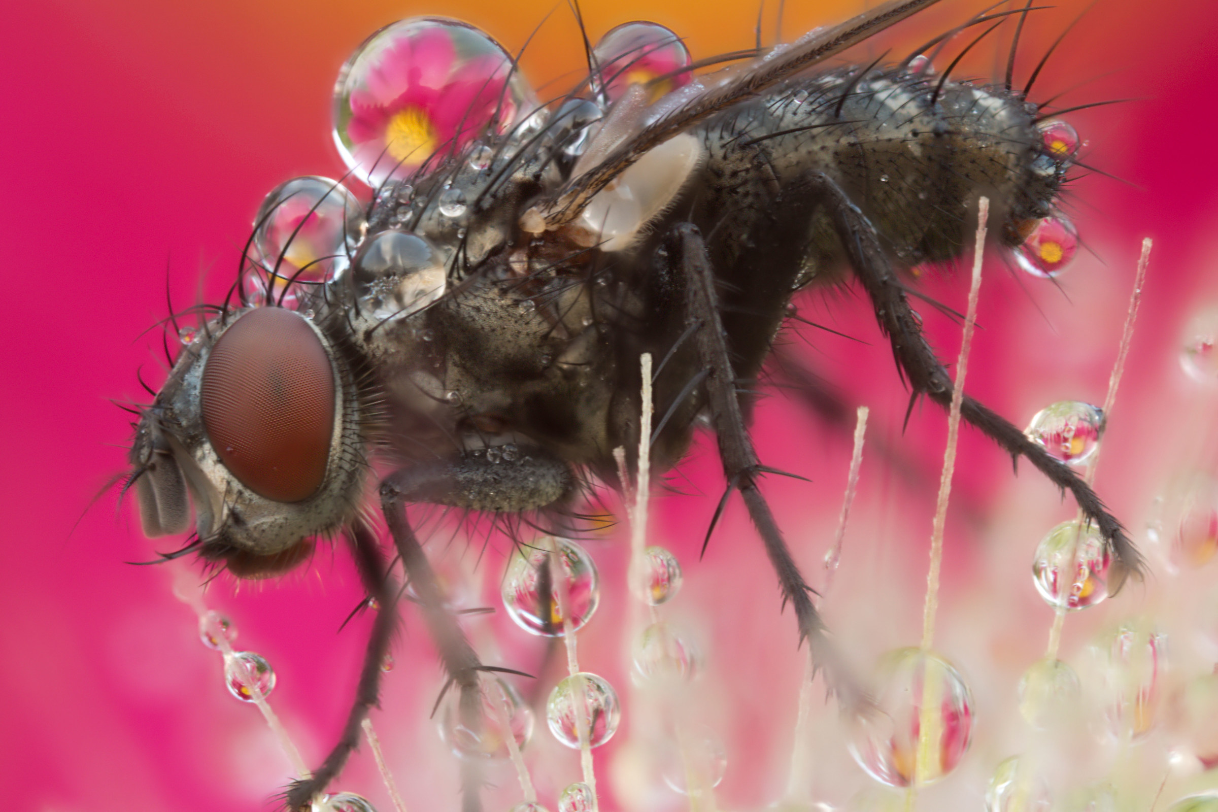 I'm ugly and I try to make myself beautiful