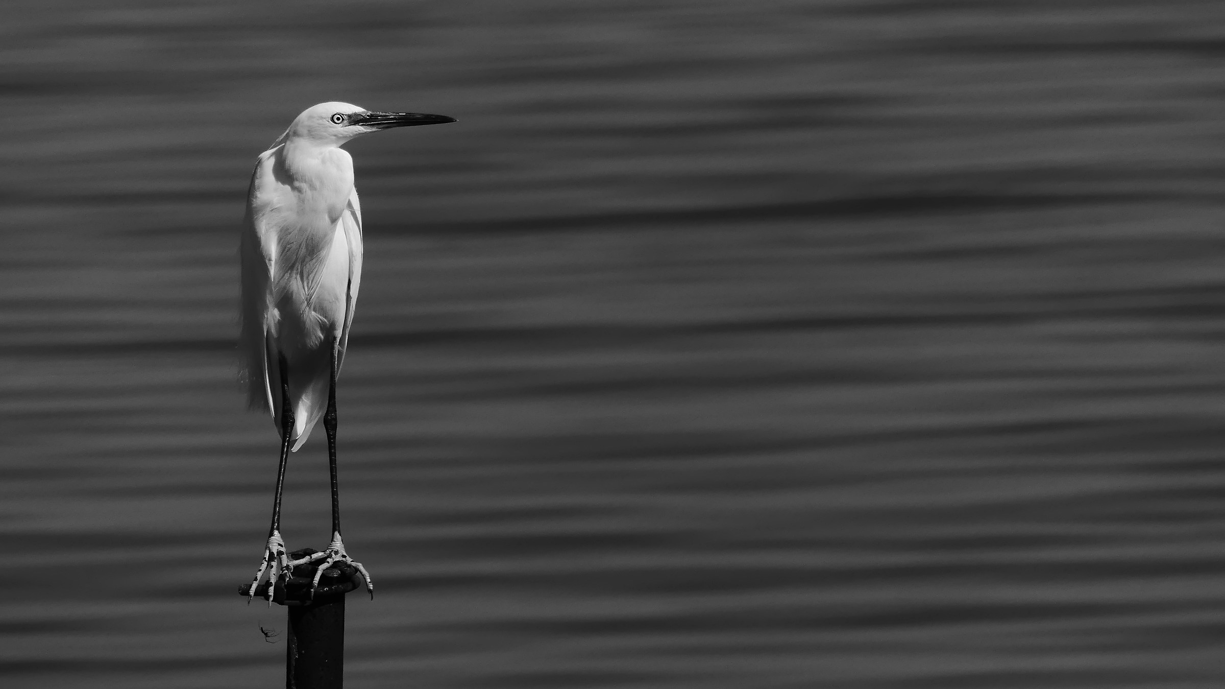 Il punto d'osservazione