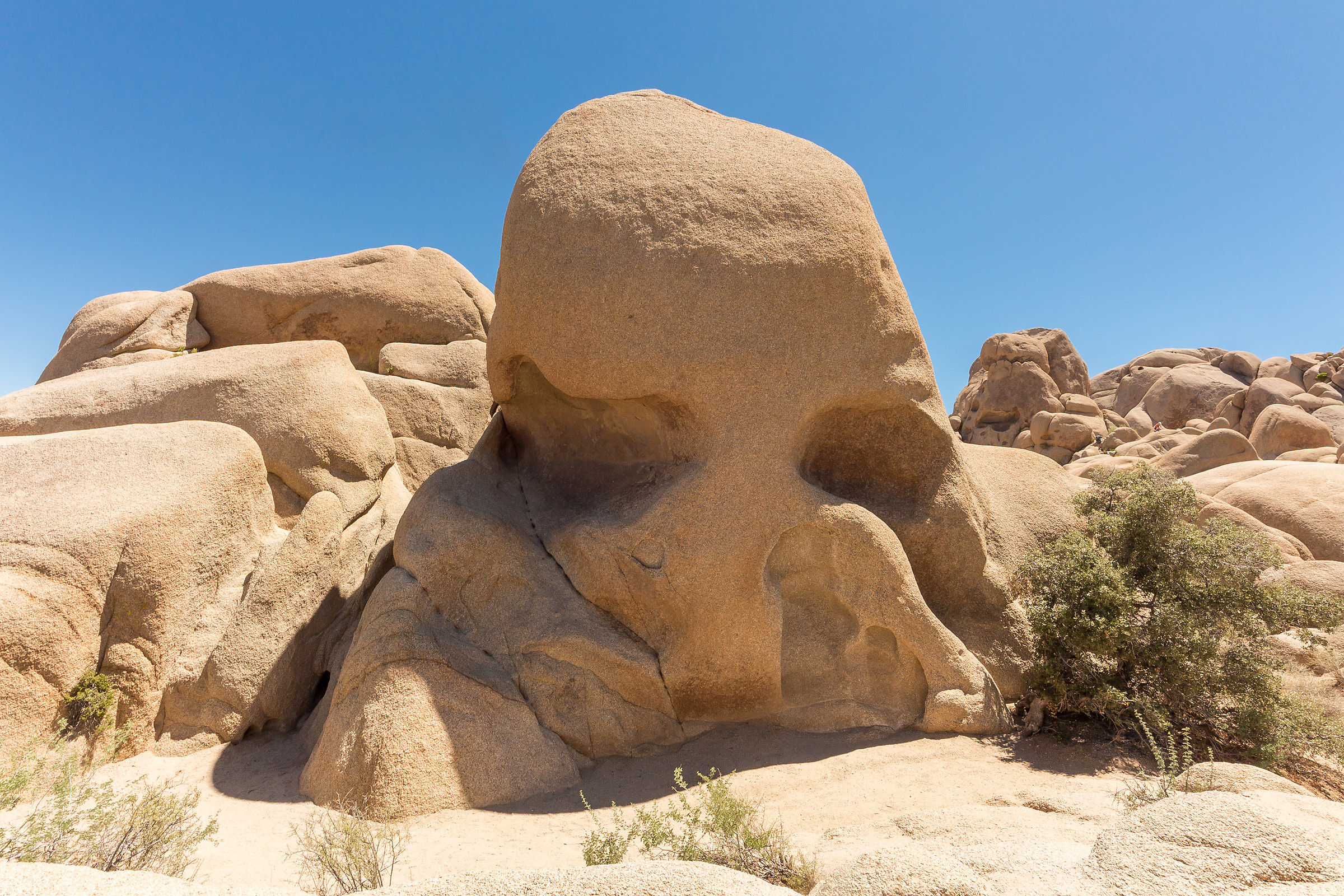 Skull Rock, Joshua Tree National Park