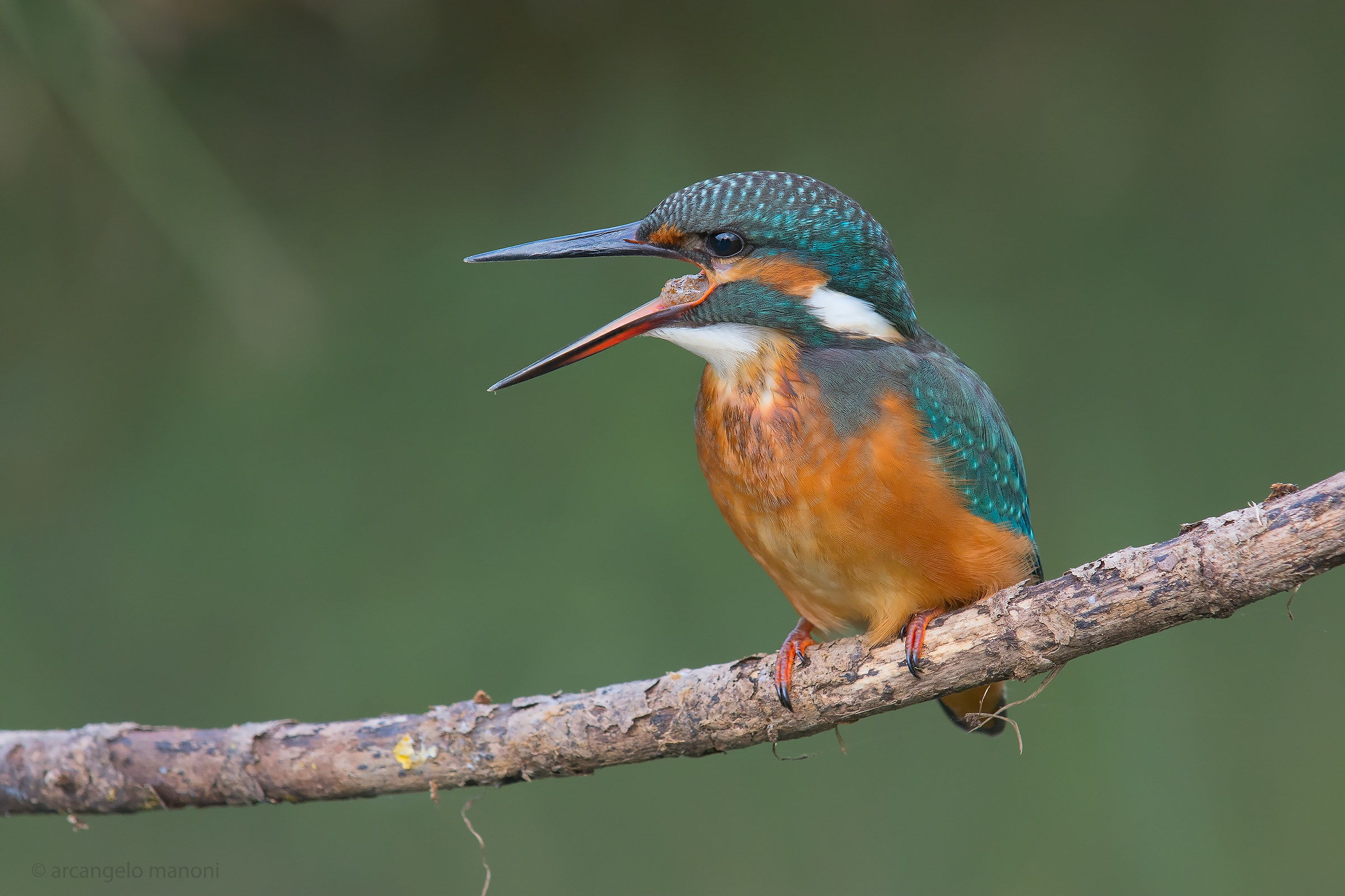 Before ejecting the wad