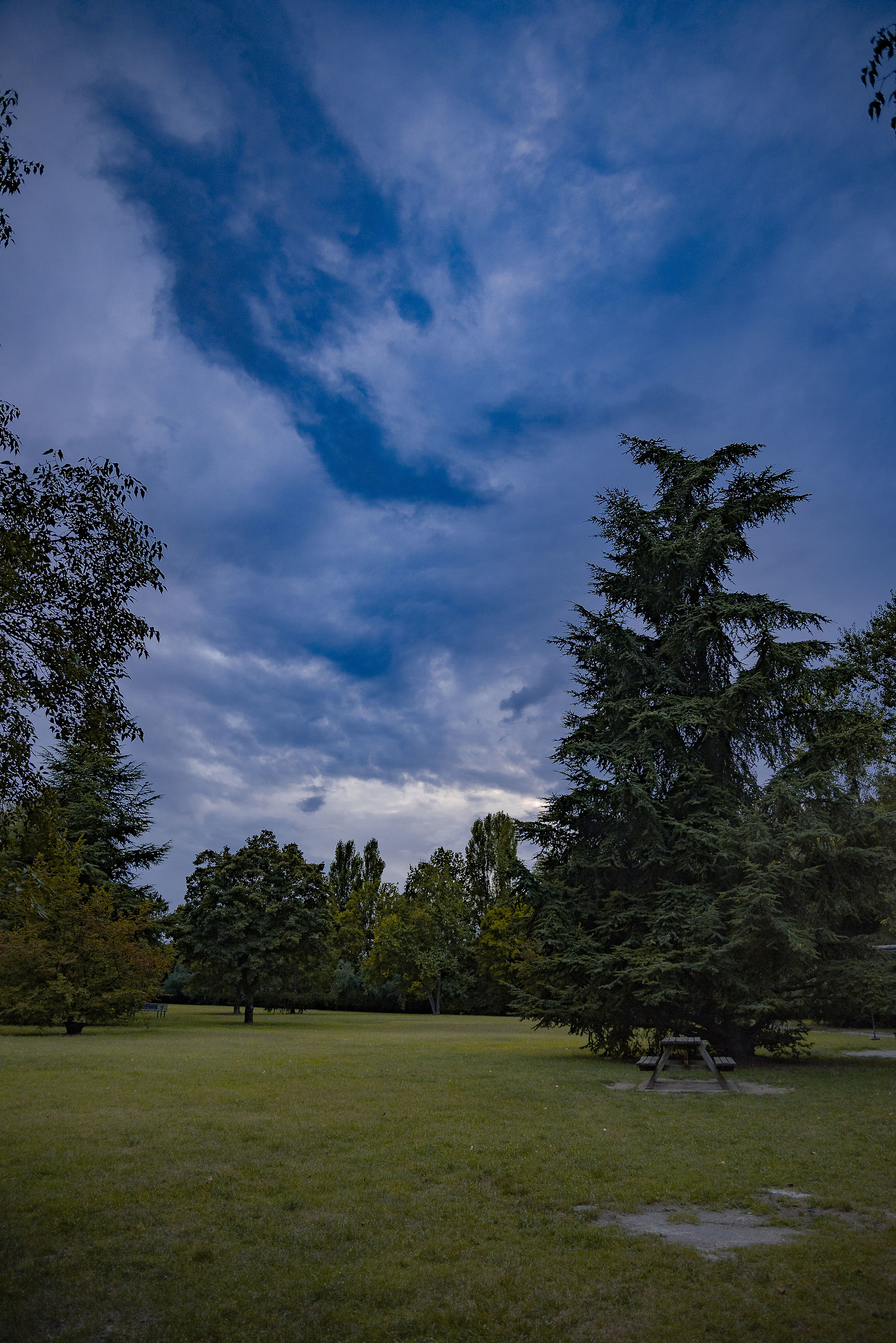 Moments in Nature