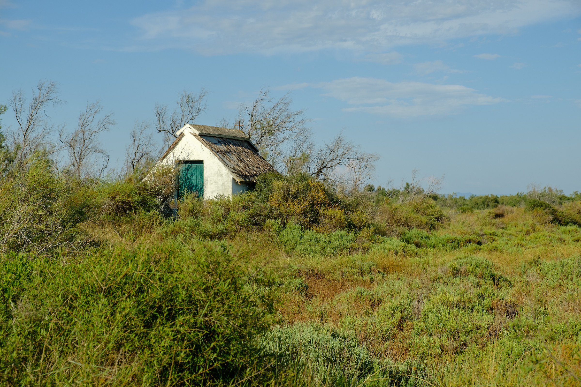 Camargue, chiesetta palustre