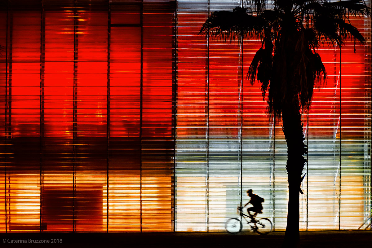 The colors of the night