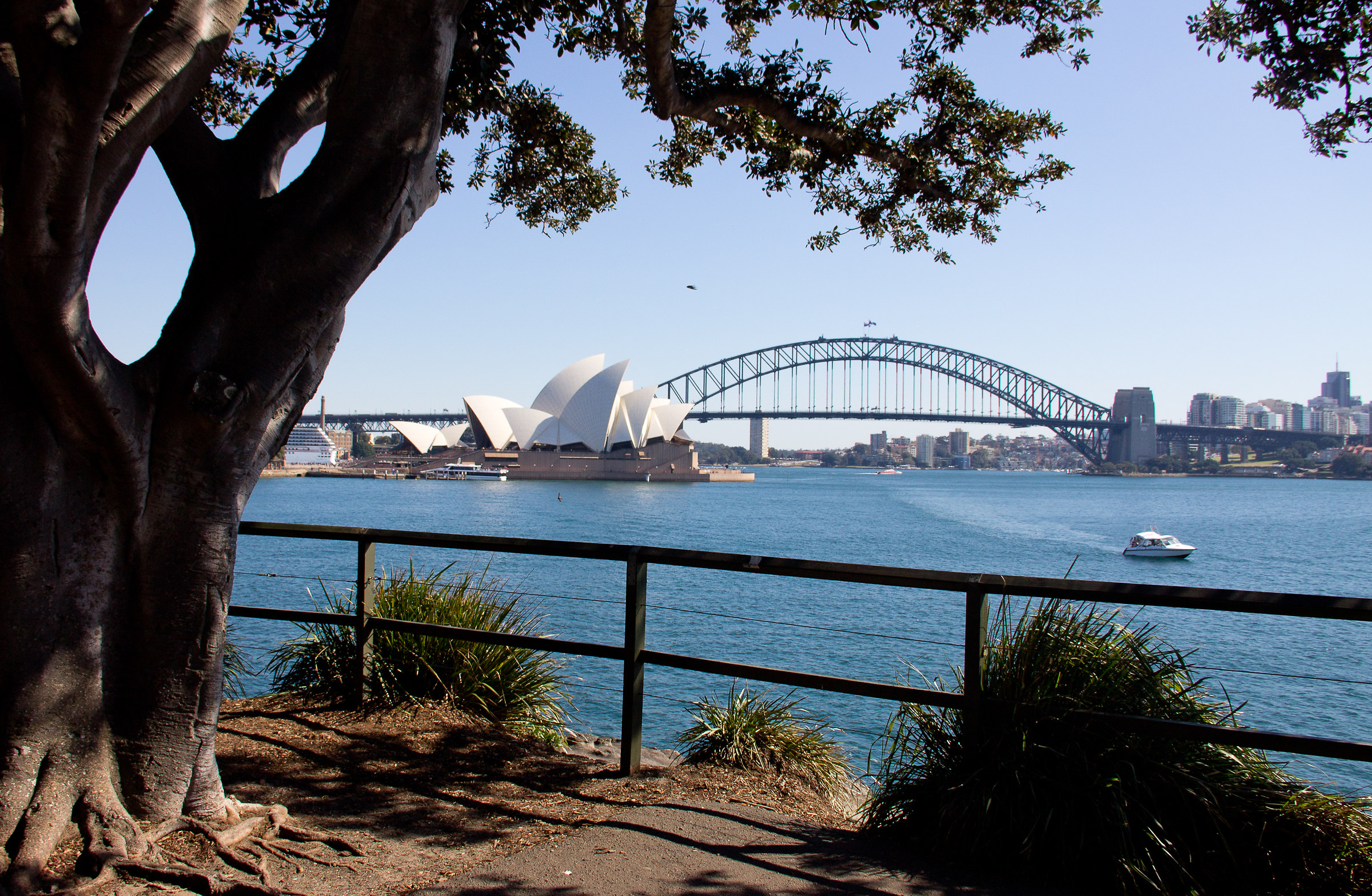 opera house & Harbour Bridge